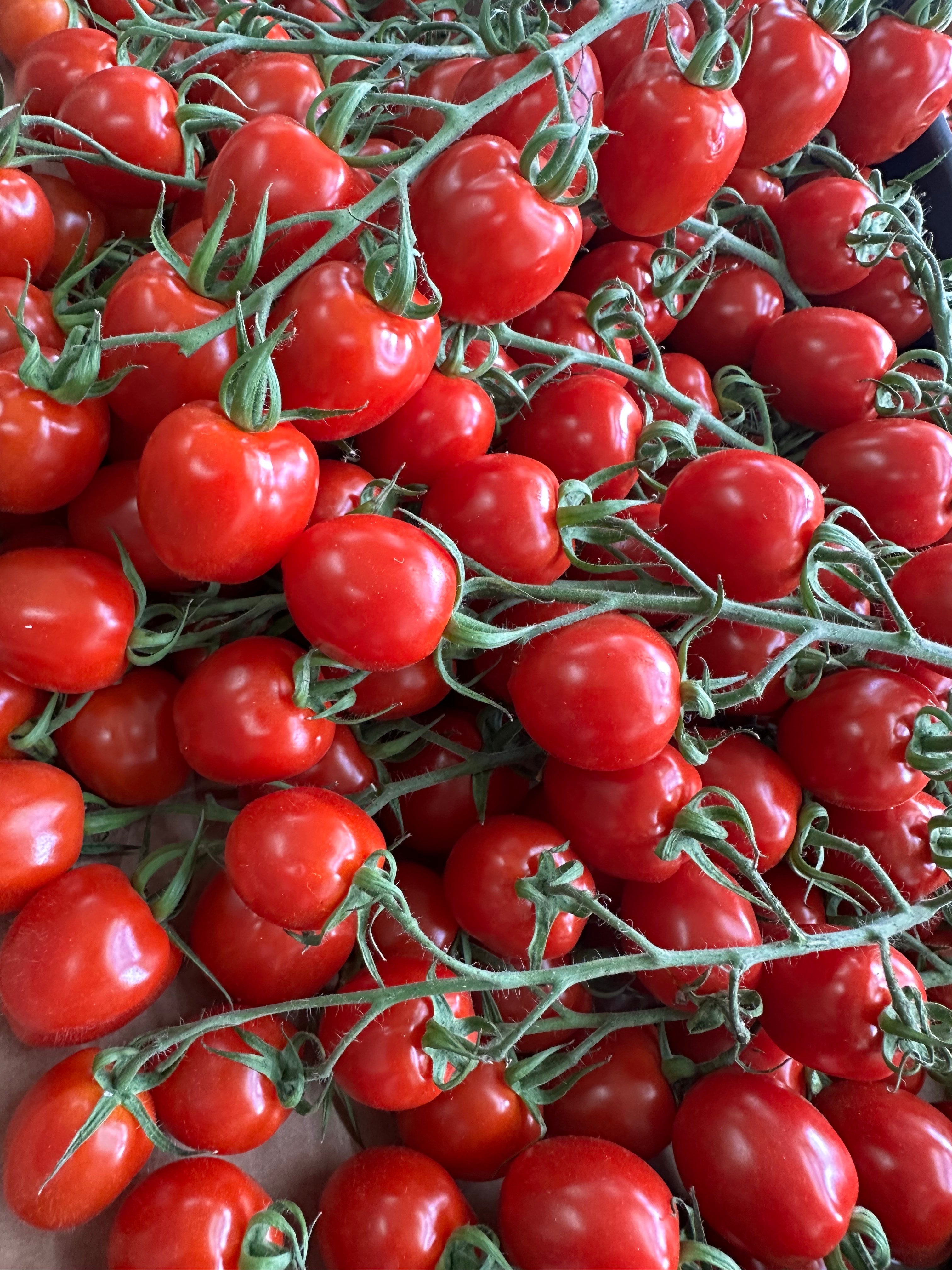 cherry vine tomatoes