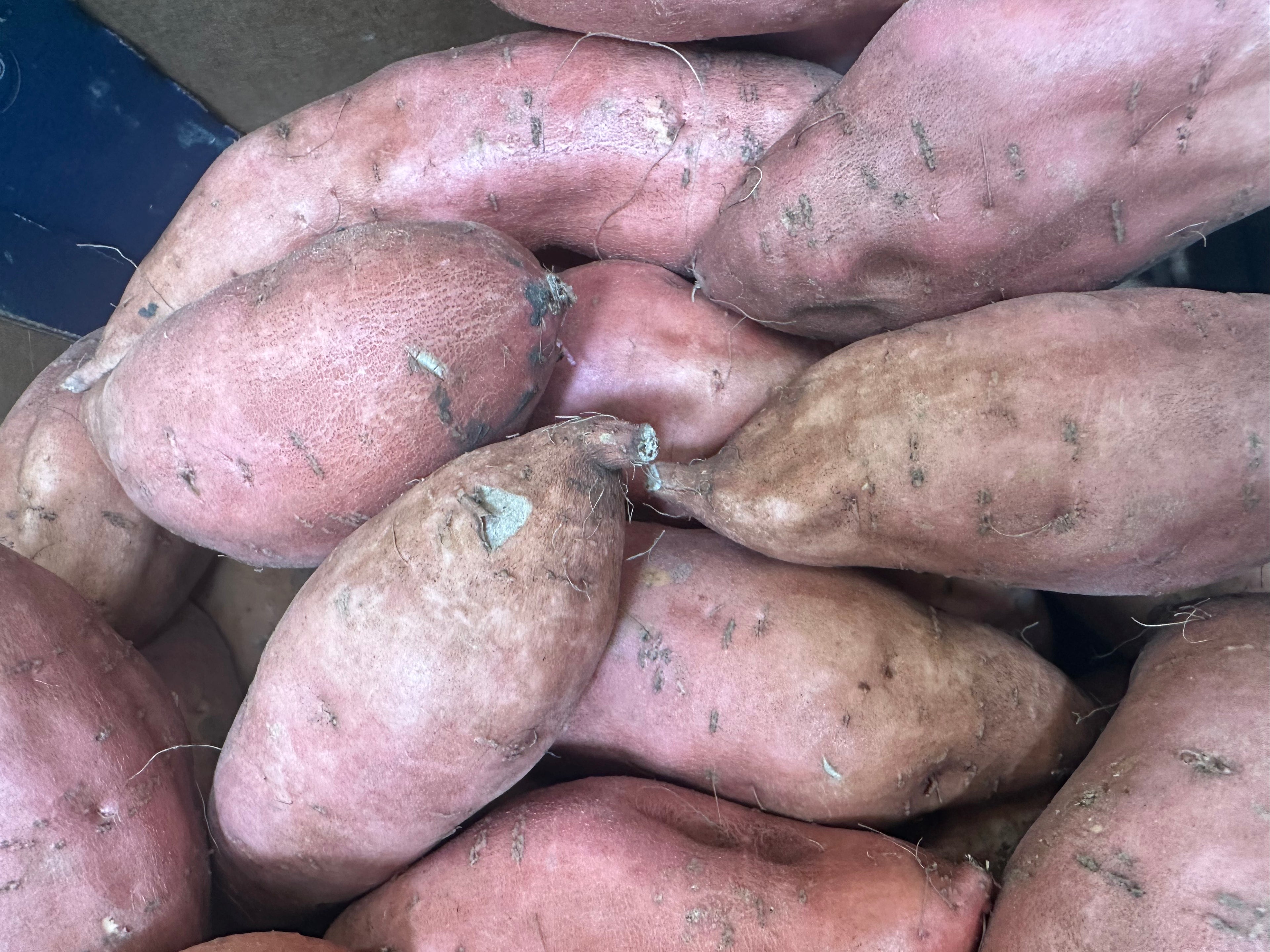 sweet potatoes