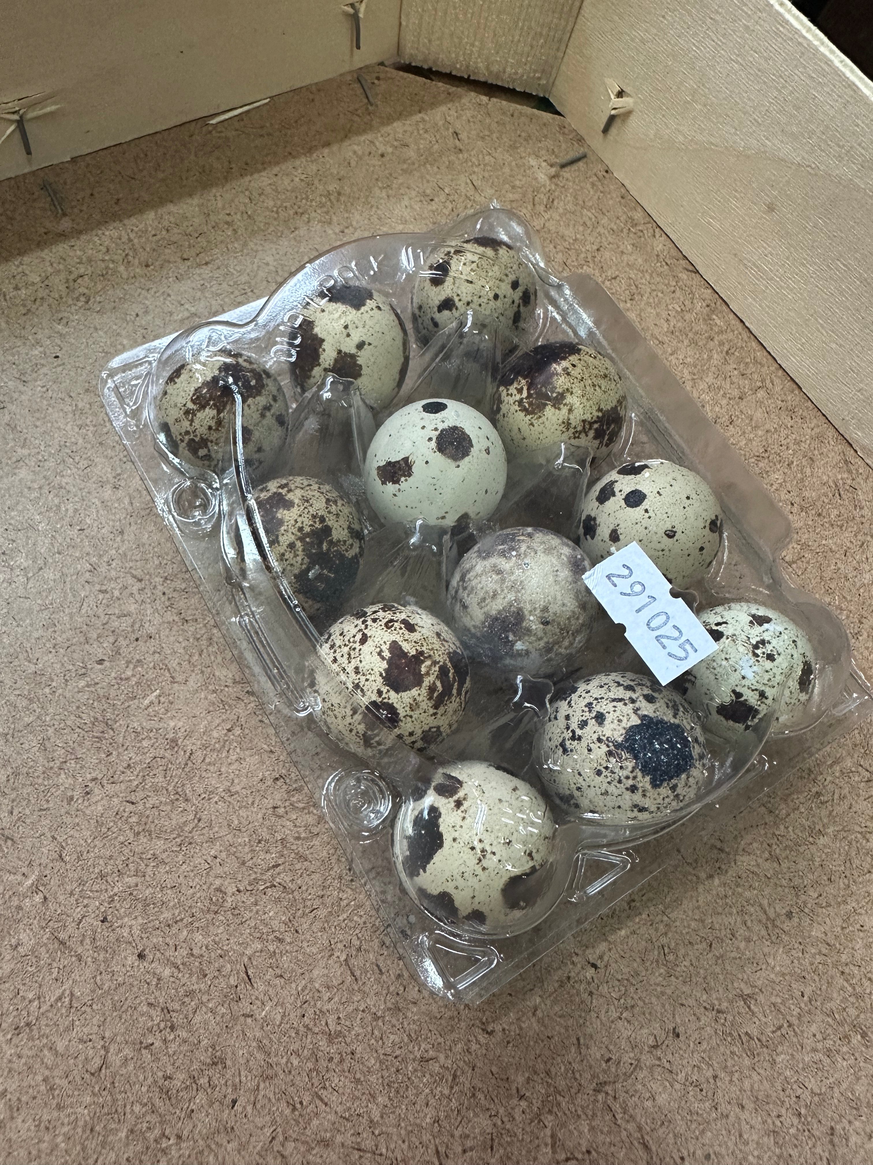 quail eggs