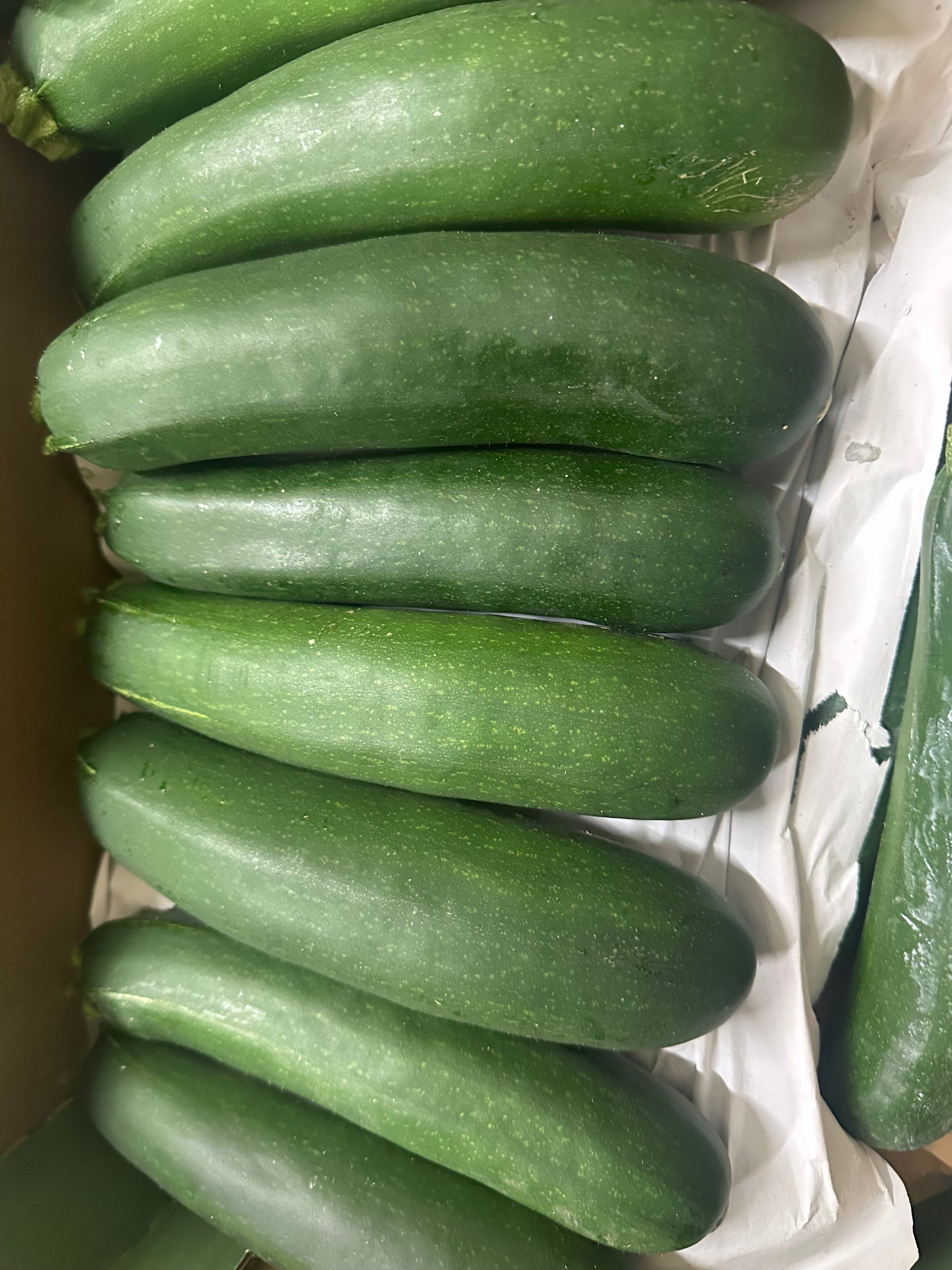 courgette