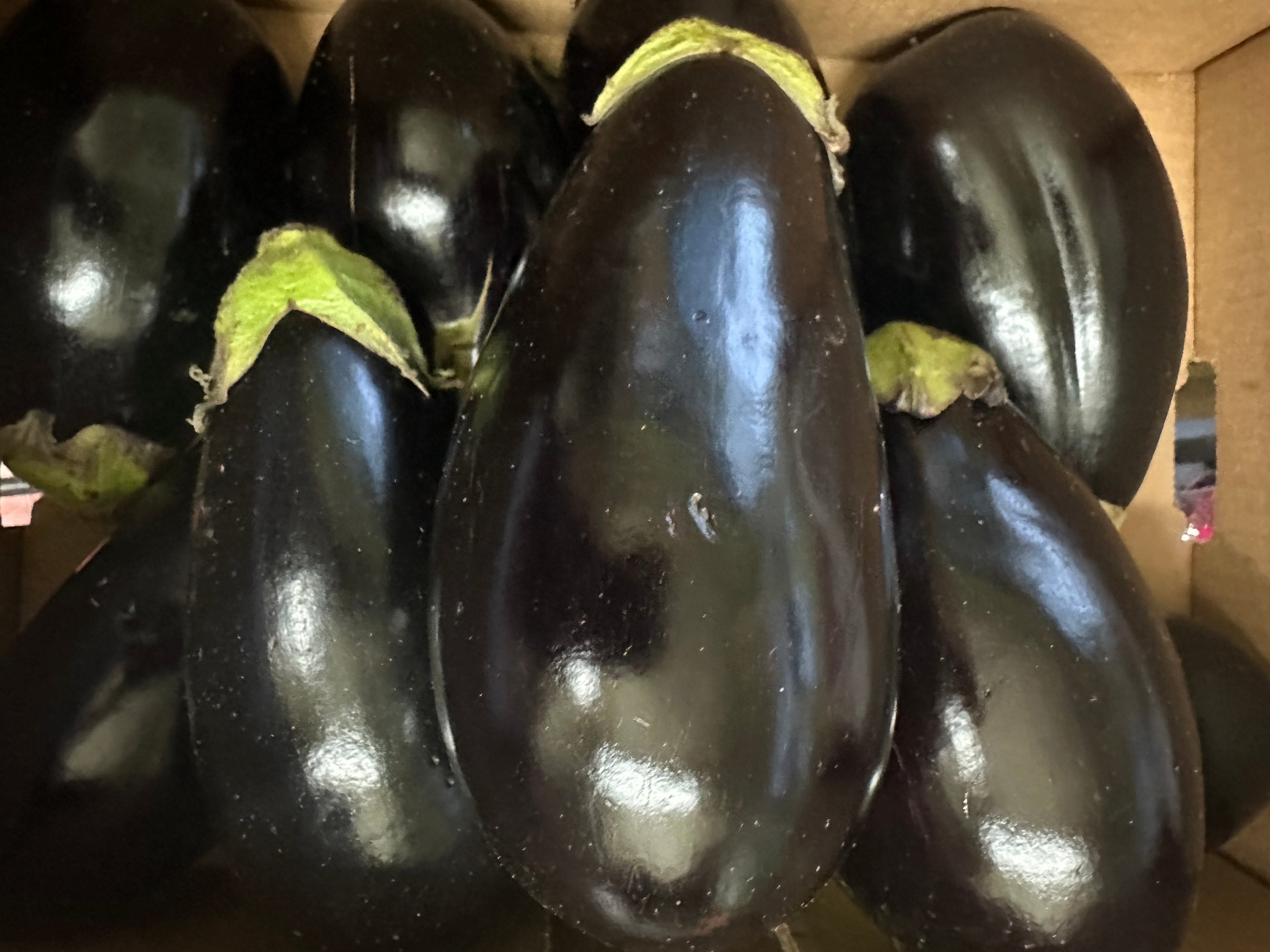 aubergine
