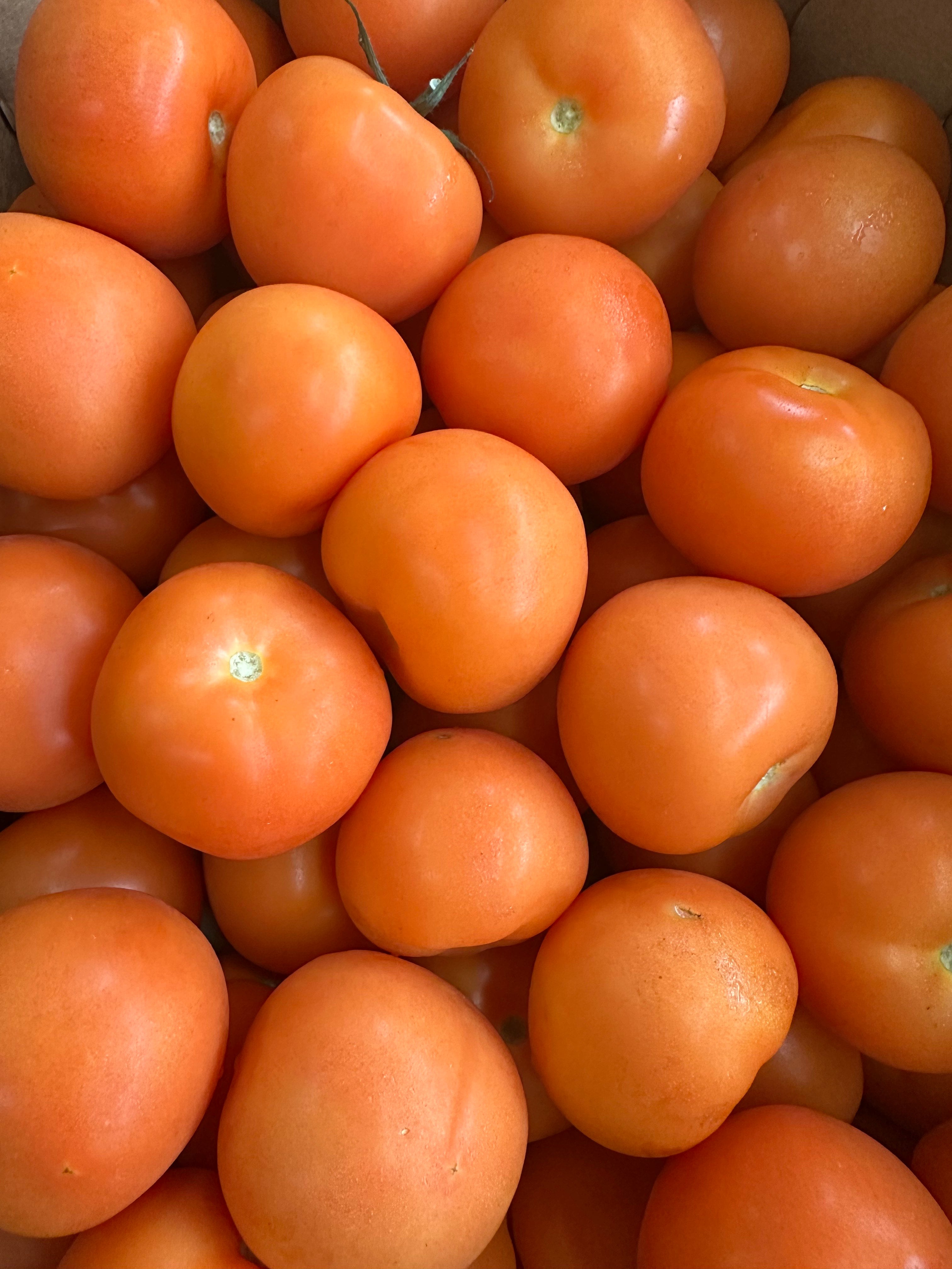 salad tomatoes