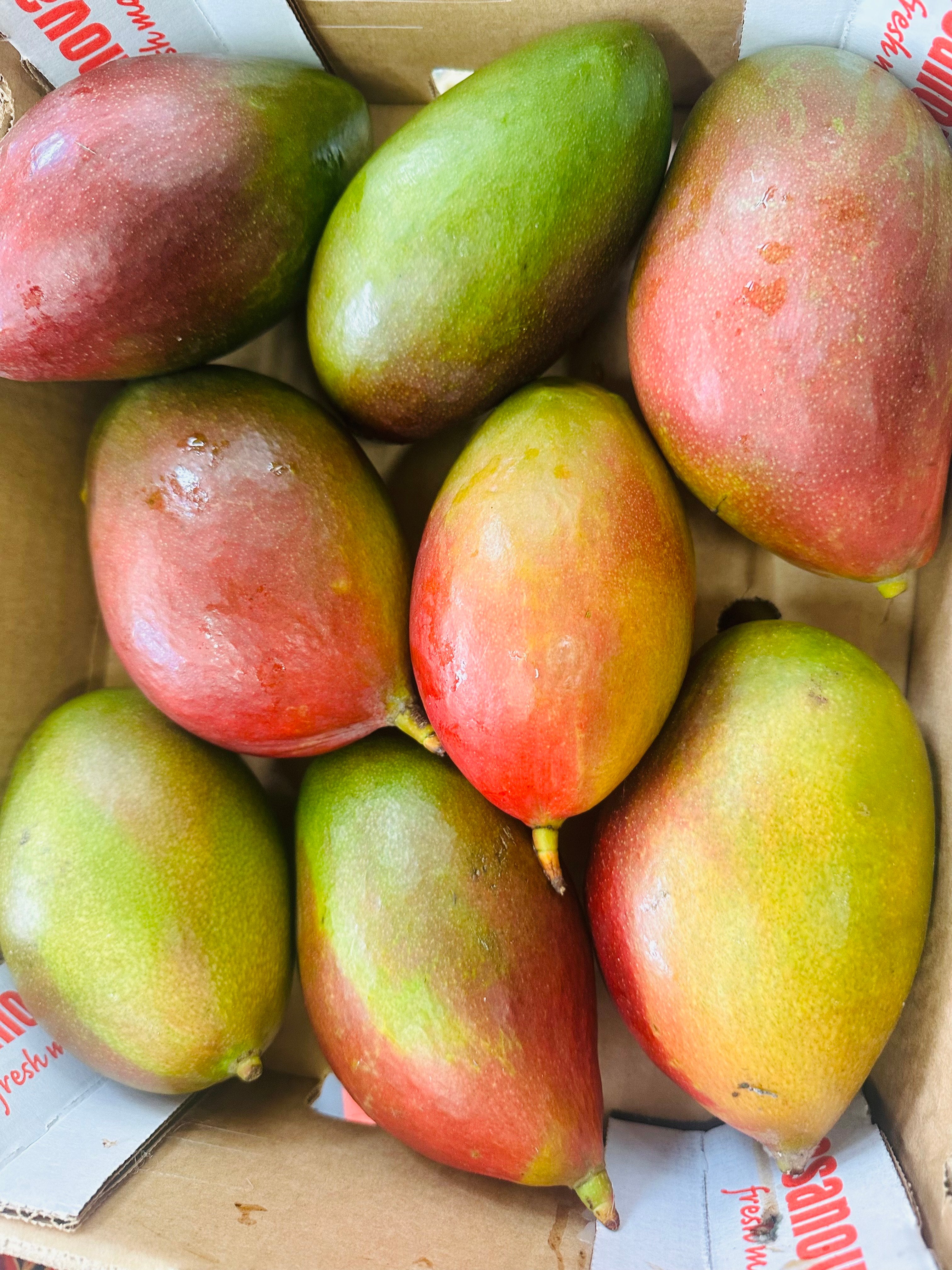 large mangos