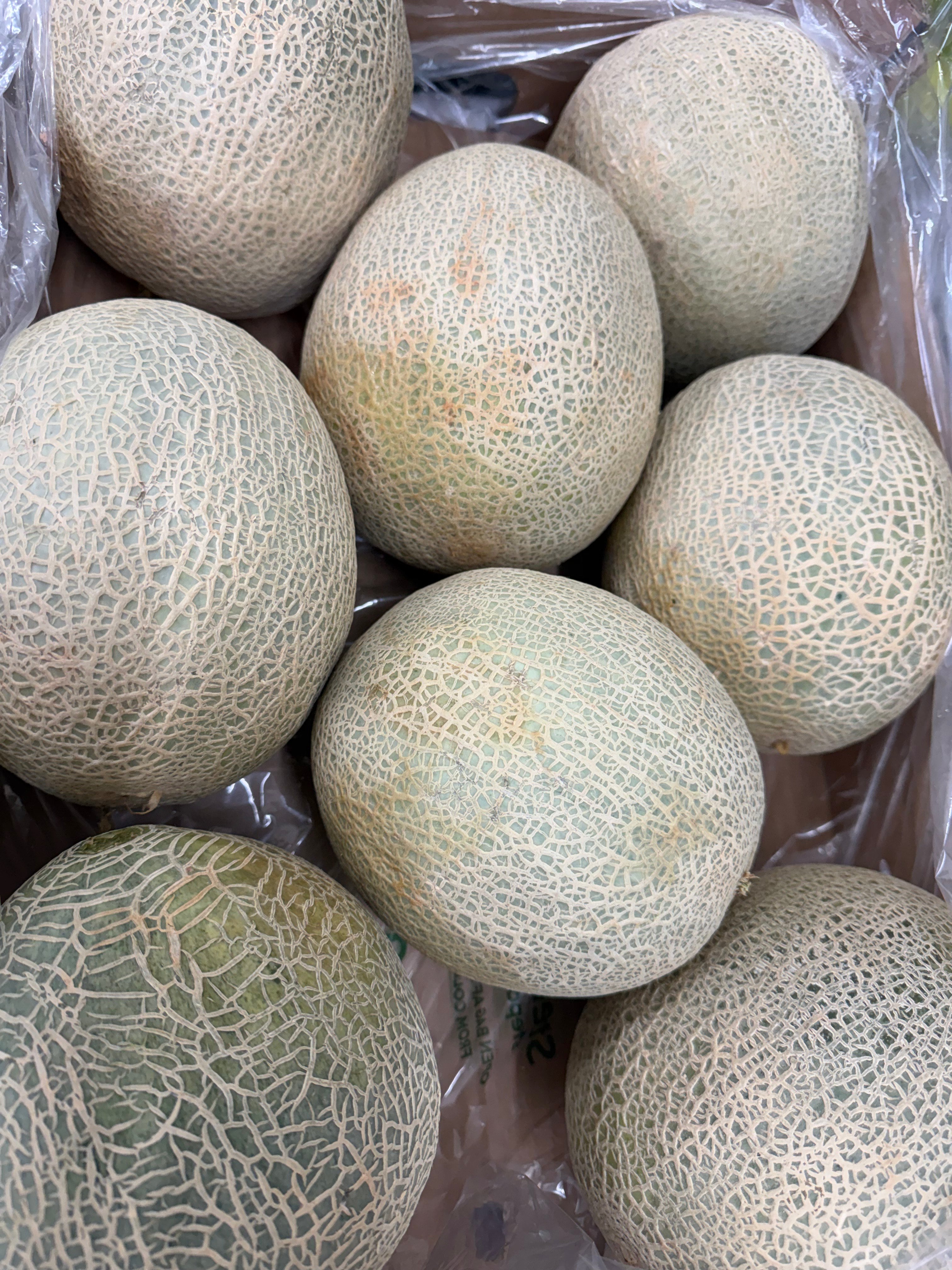 Canteloupe melon