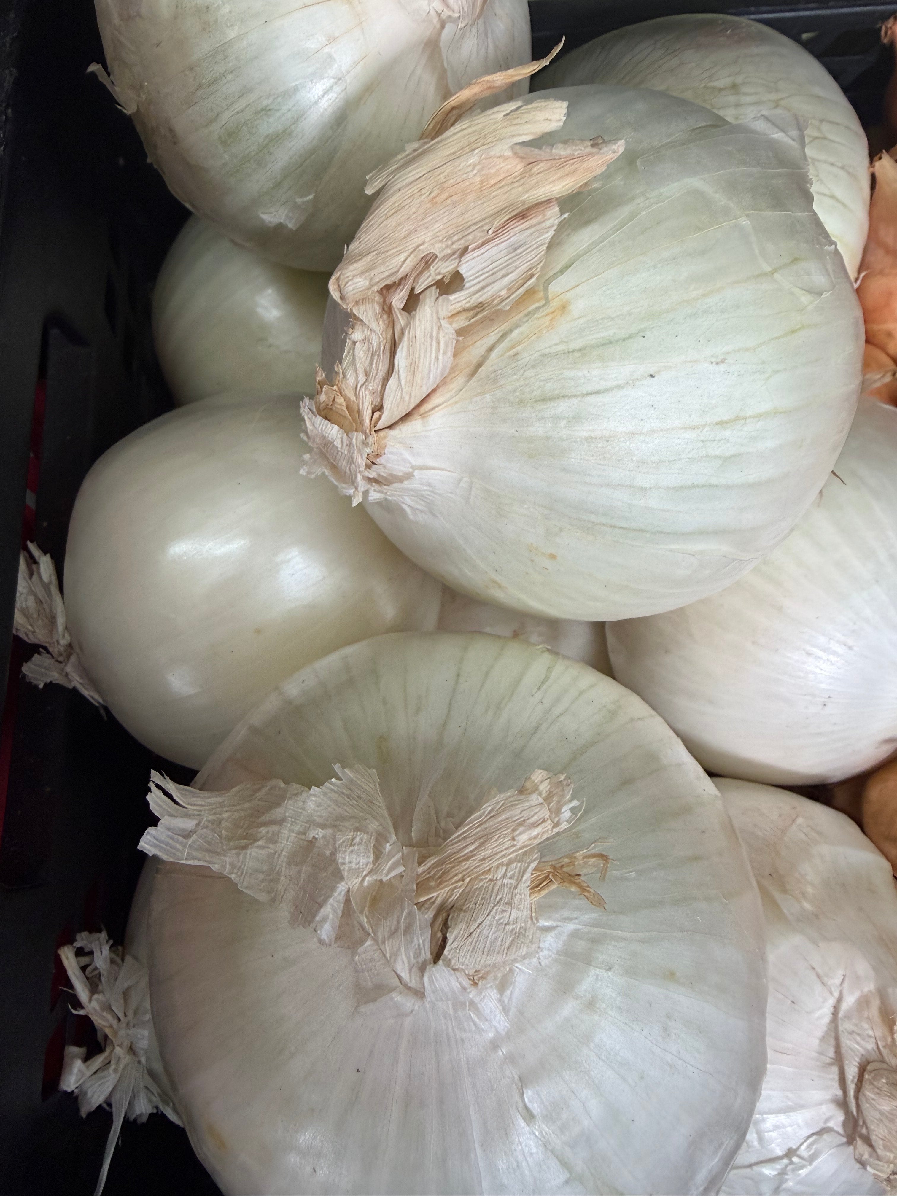 large white onions