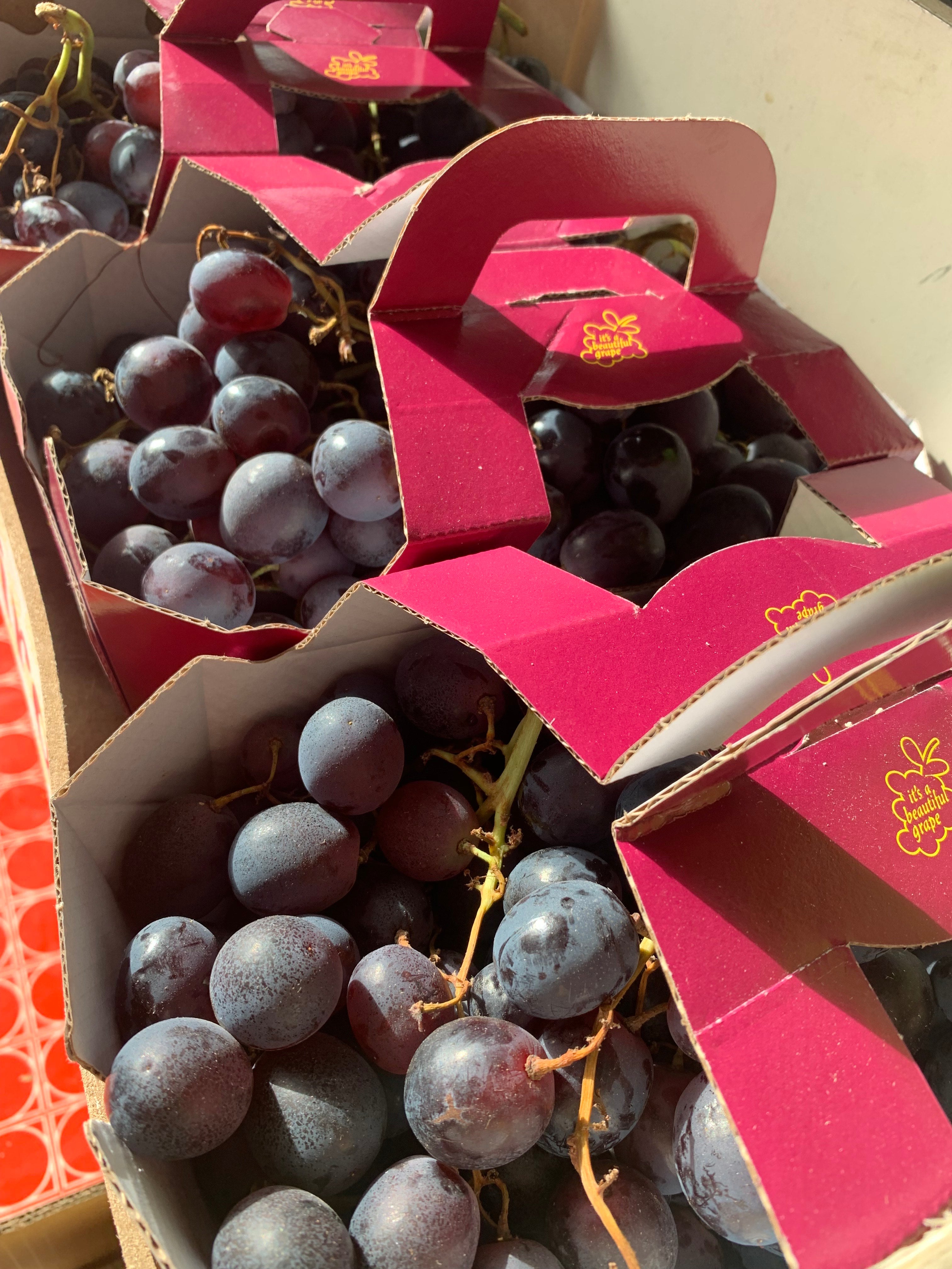 red seeded grapes – The Greengrocers Parliament Street Burnley