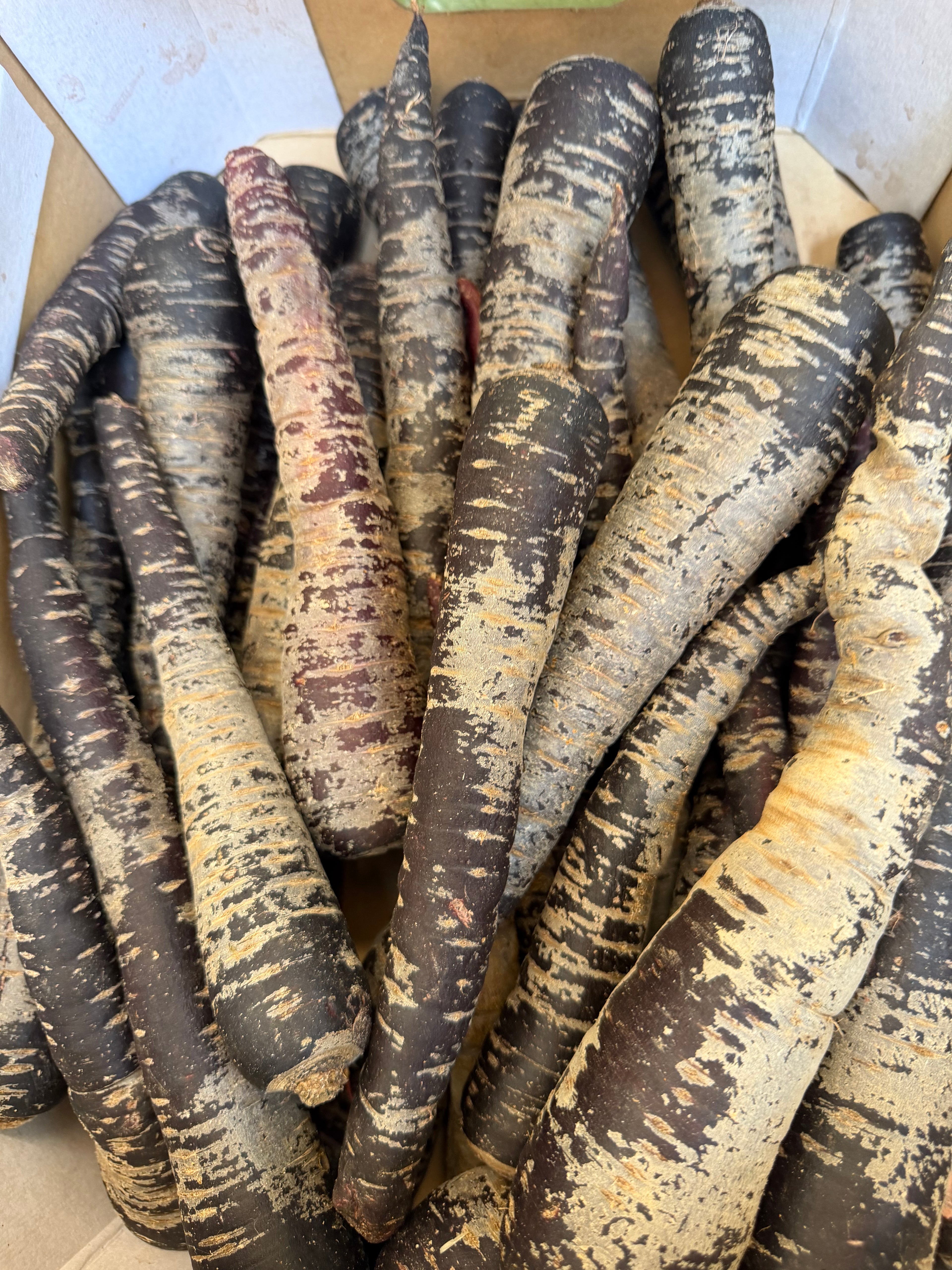 Purple heritage carrots ￼