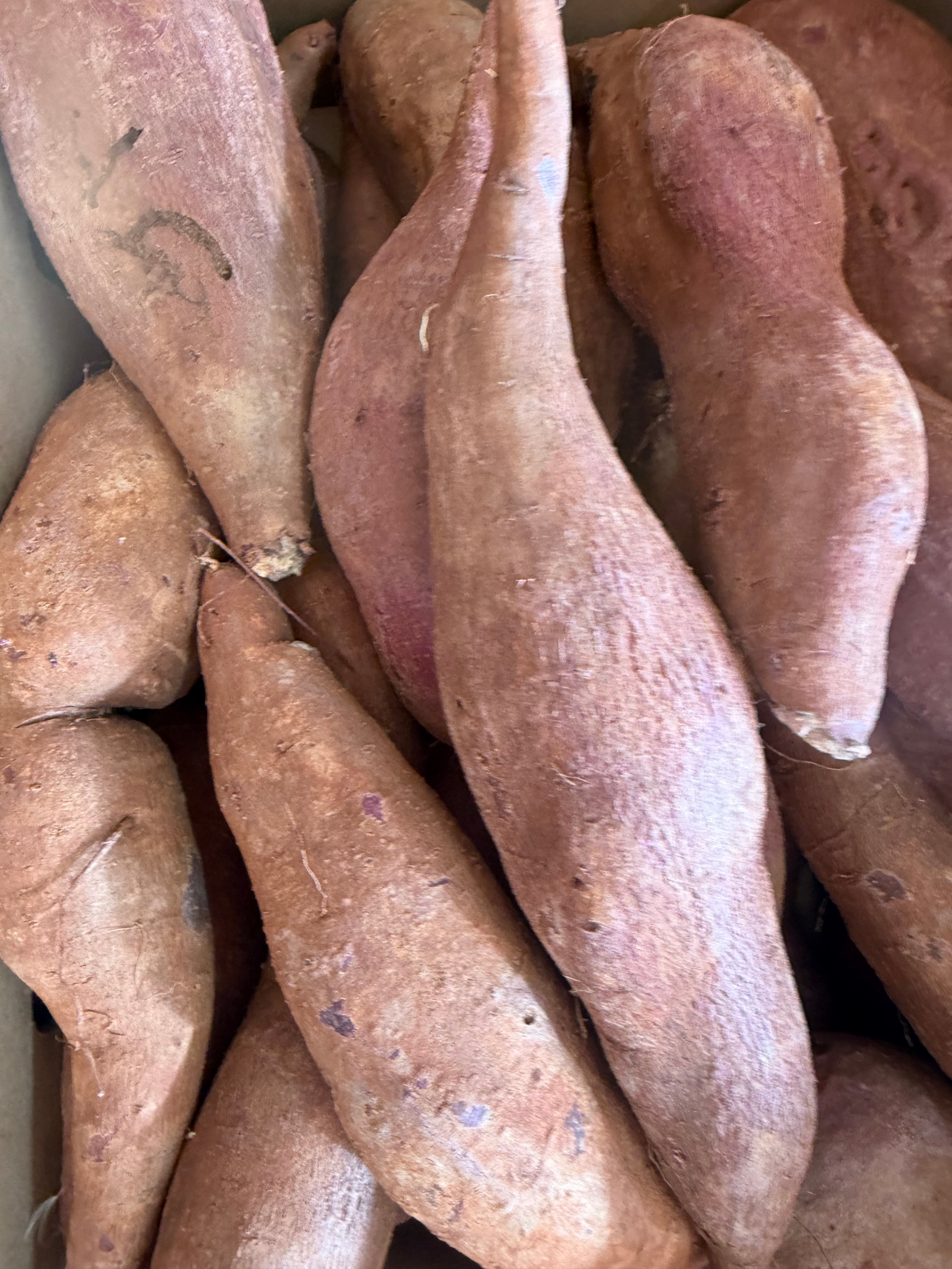 Purple sweet potatoes