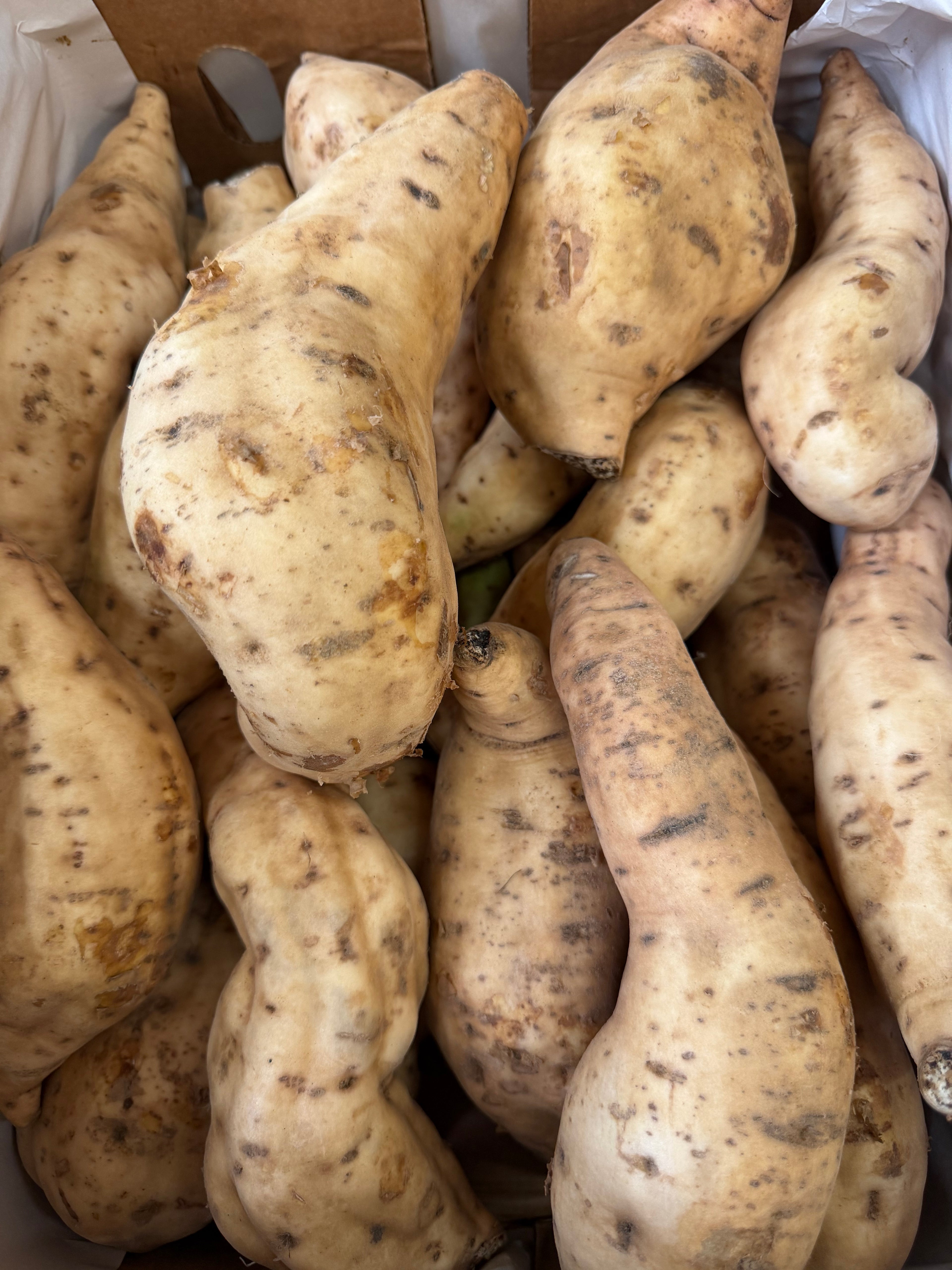 White sweet potatoes