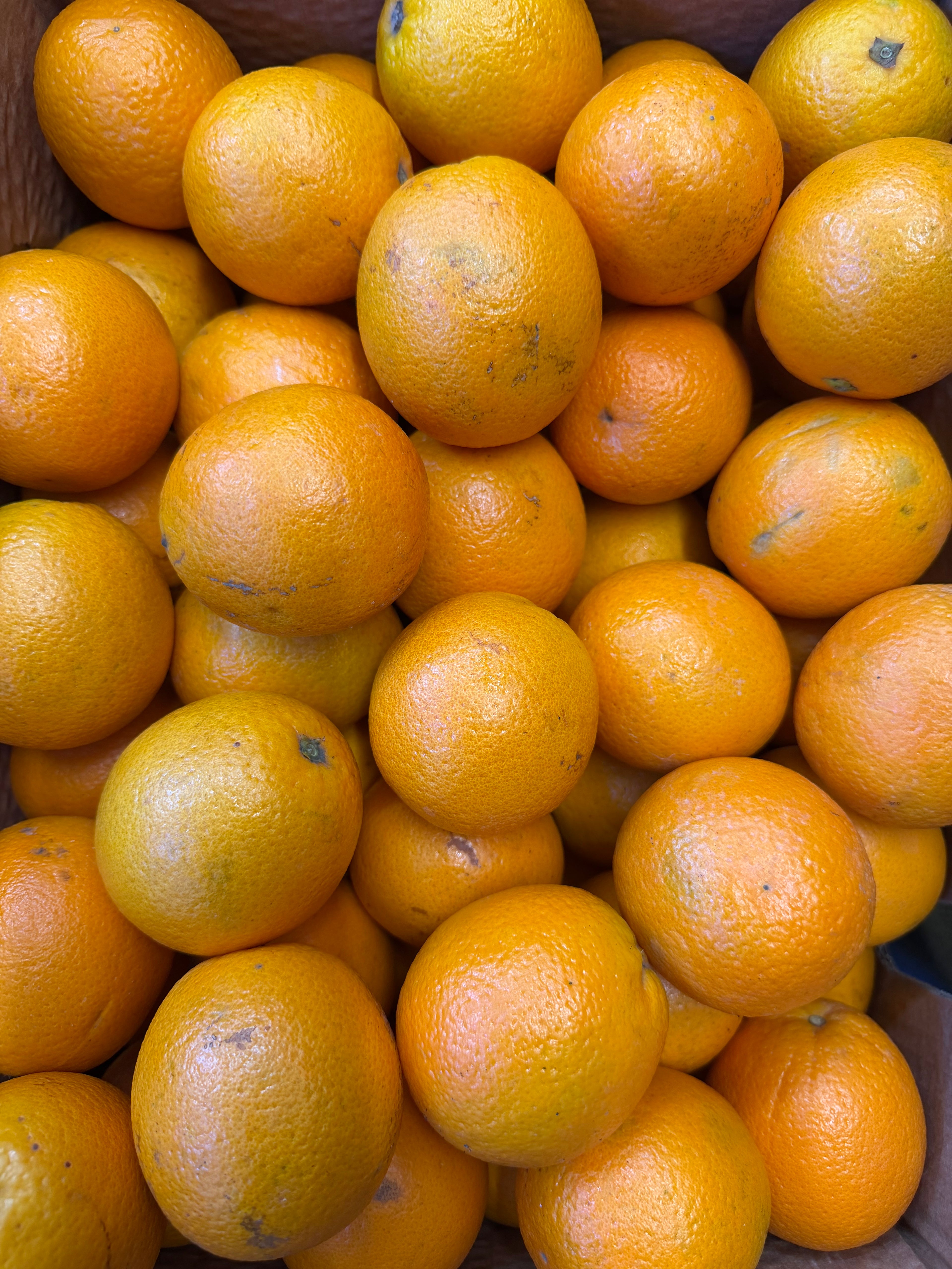 10 juicing oranges for £2.50