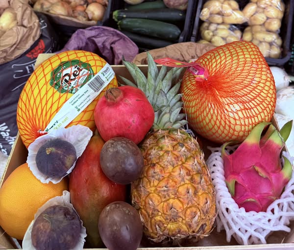 A luxury tropical box