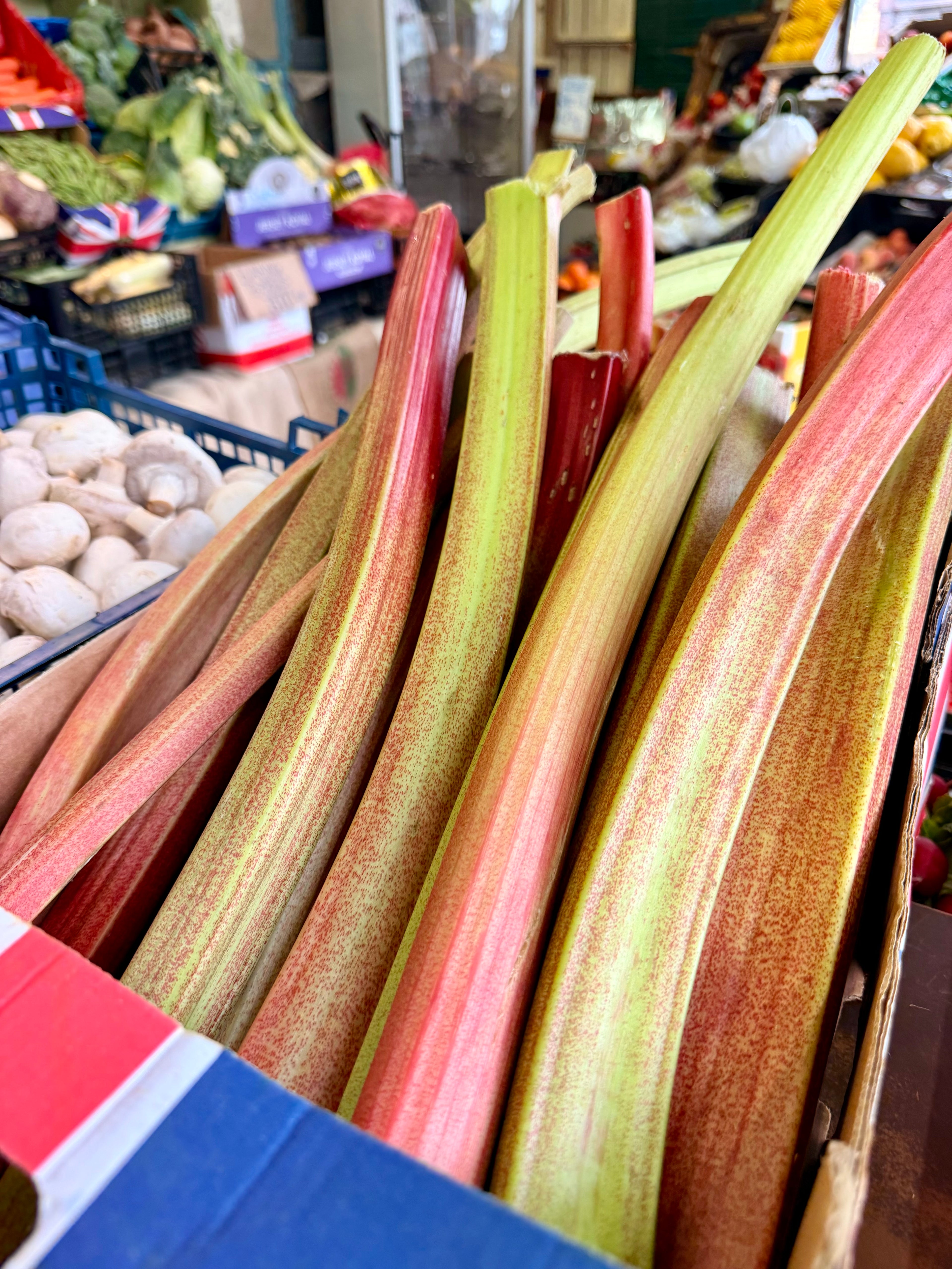 Fresh local rhubarb  ￼