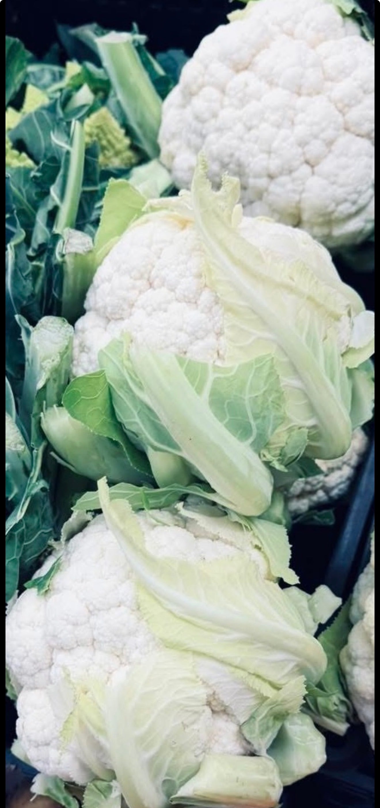 English Cauliflower
