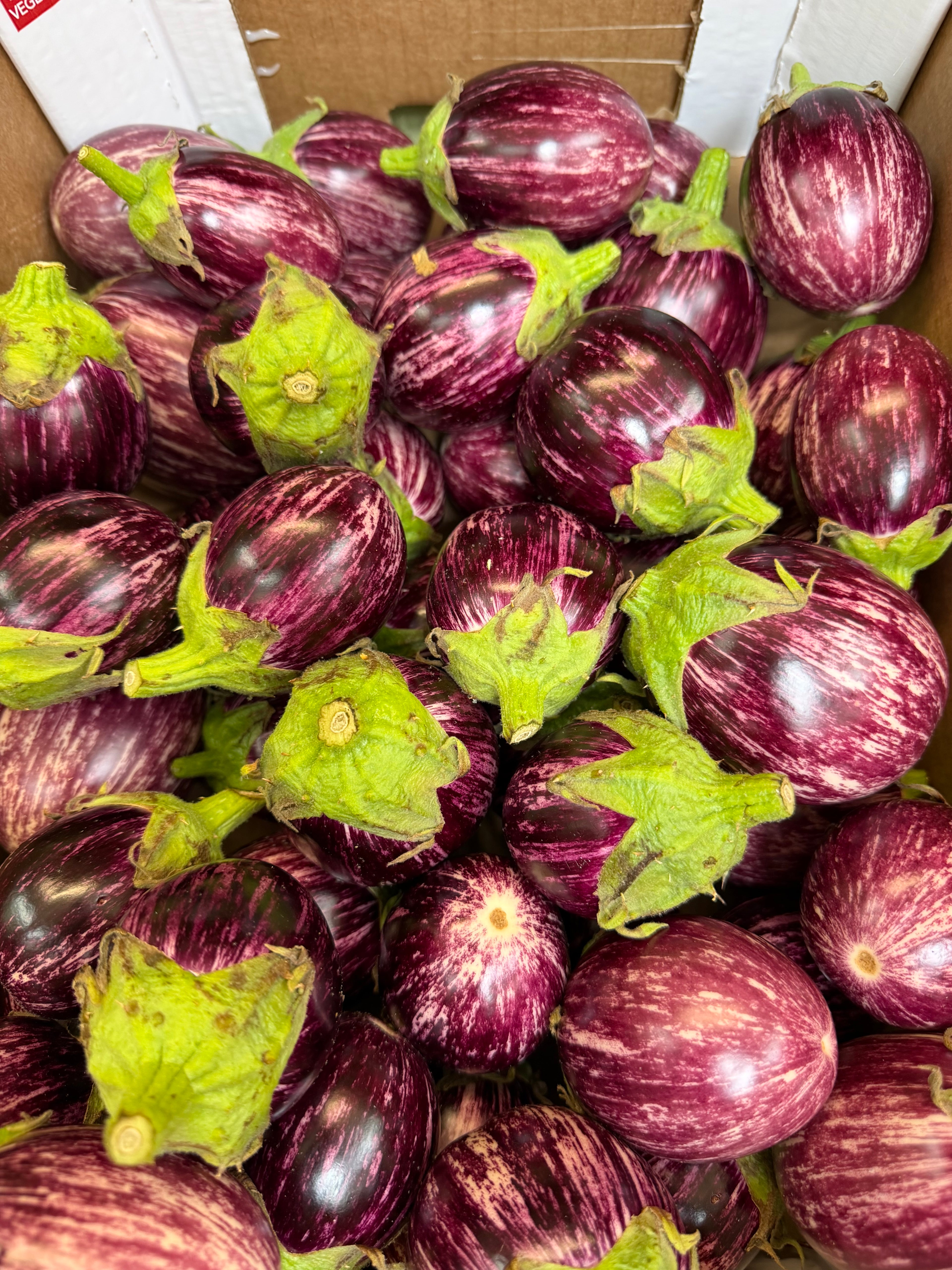 Baby striped aubergines