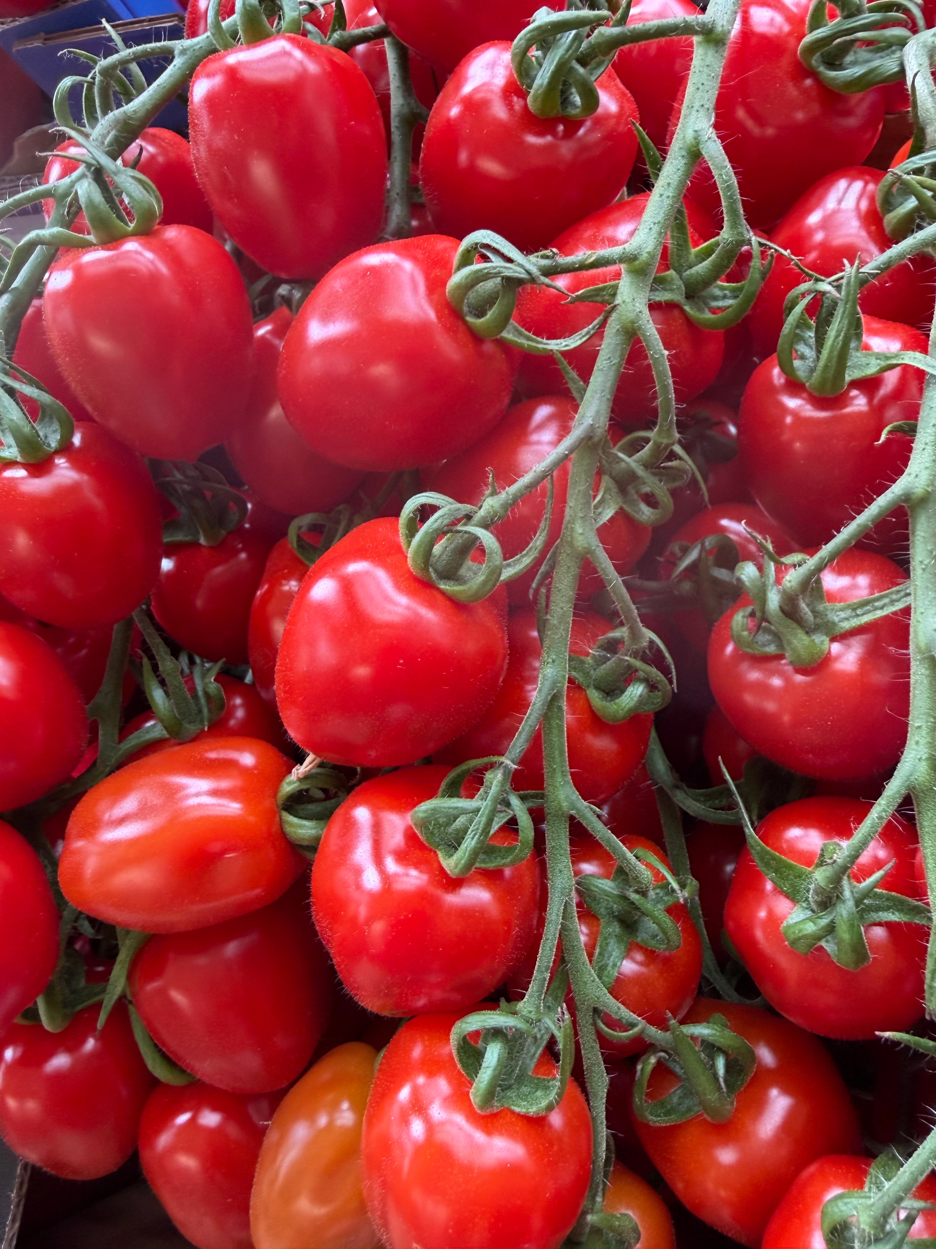 Plum cherry vine tomatoes