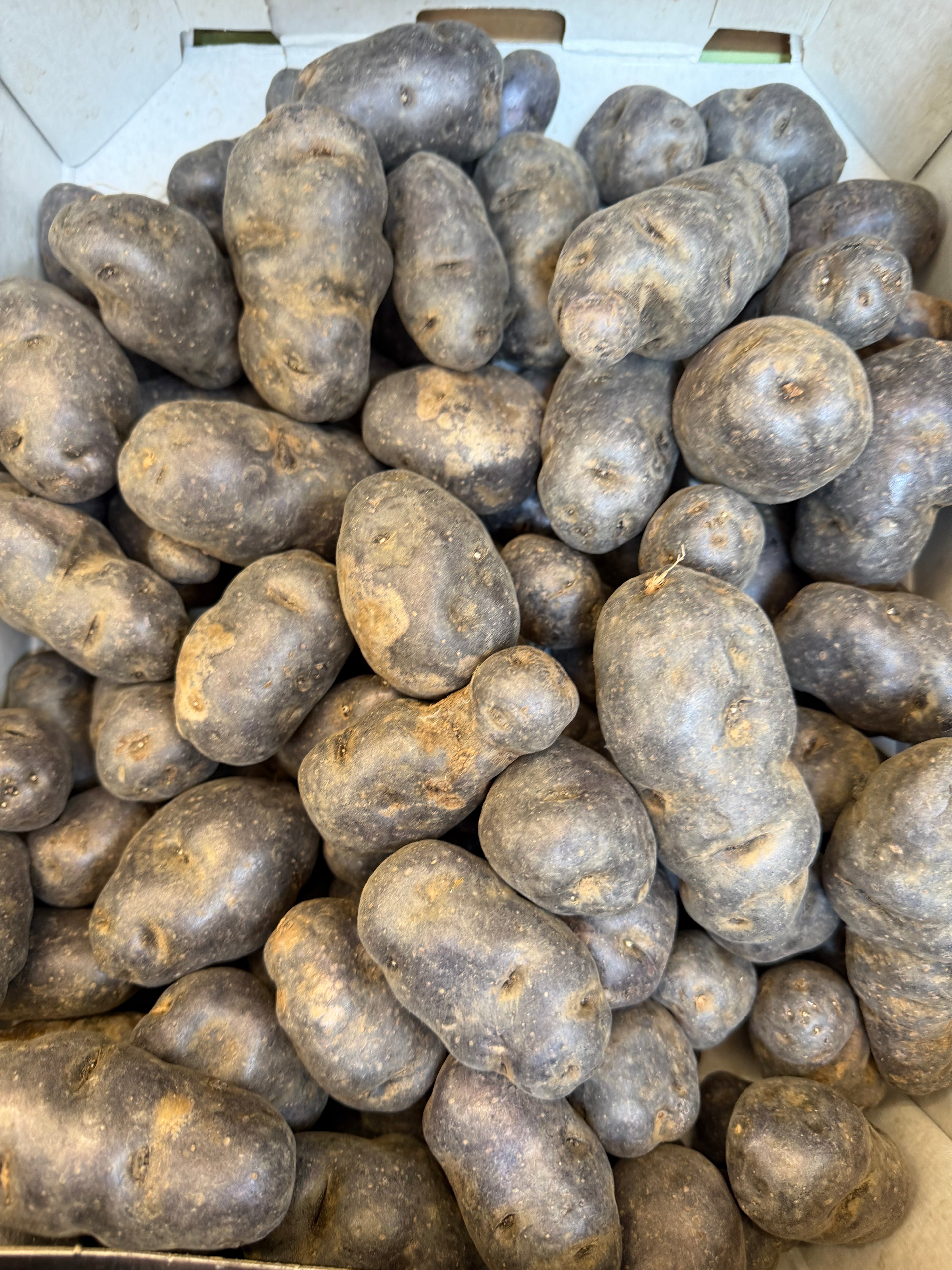 Purple new potatoes