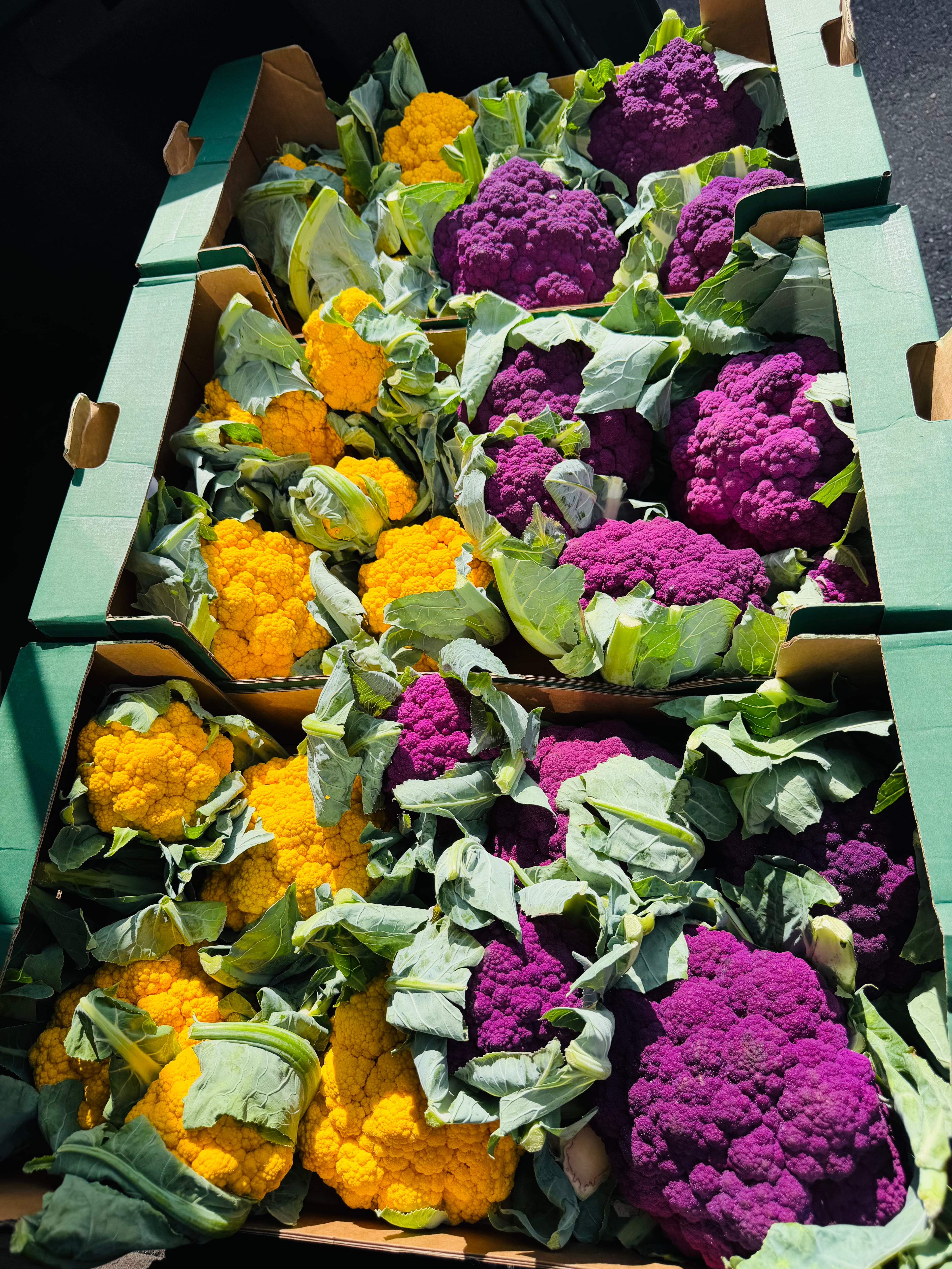 Local Yellow cauliflowers