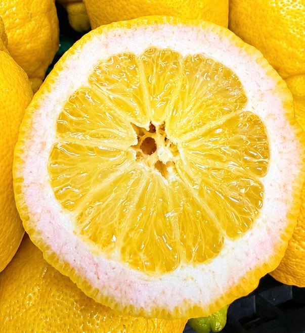 Extra large lemons 🍋