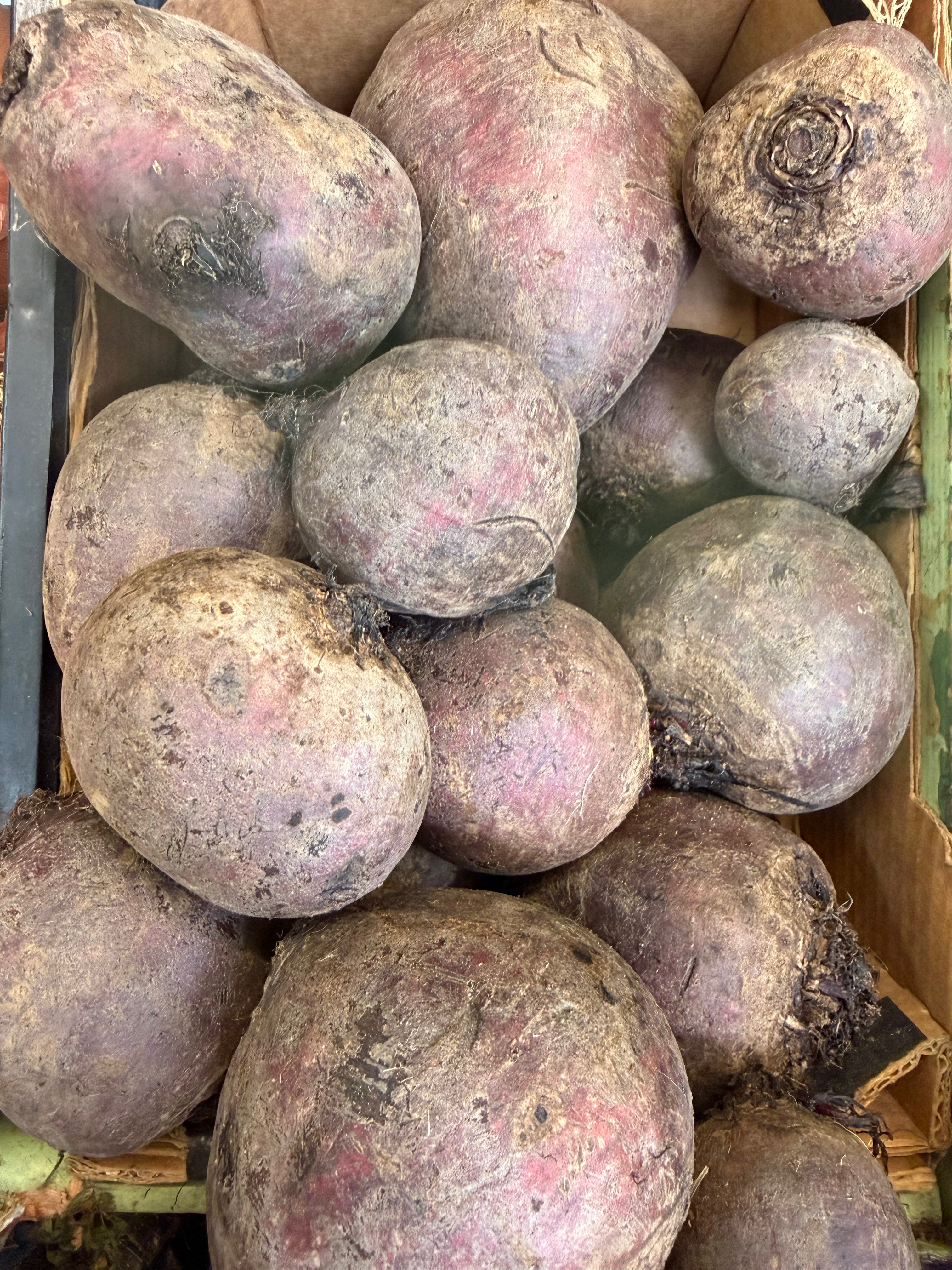 Fresh raw beetroot