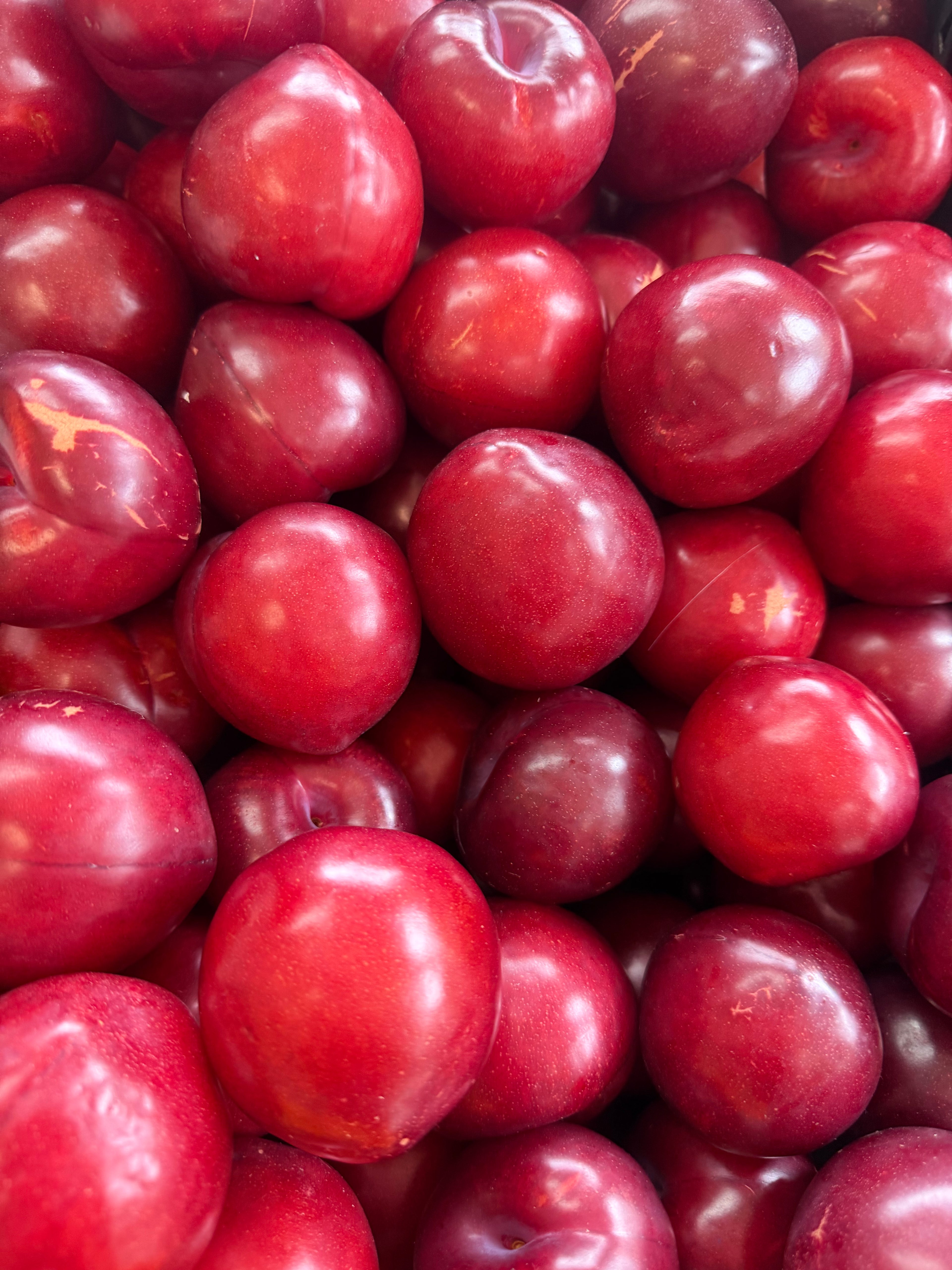 plum