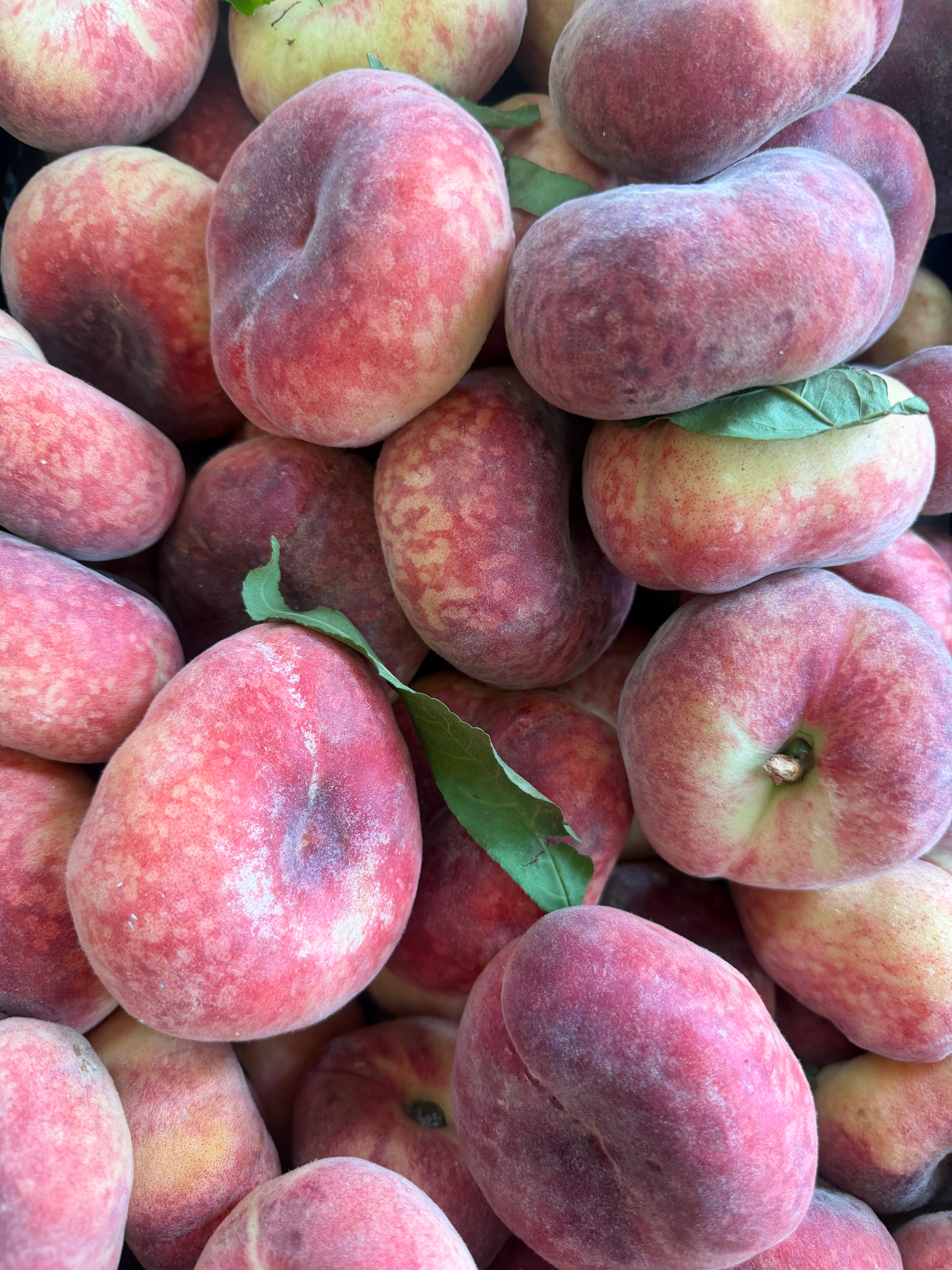 Fresh large flat peaches