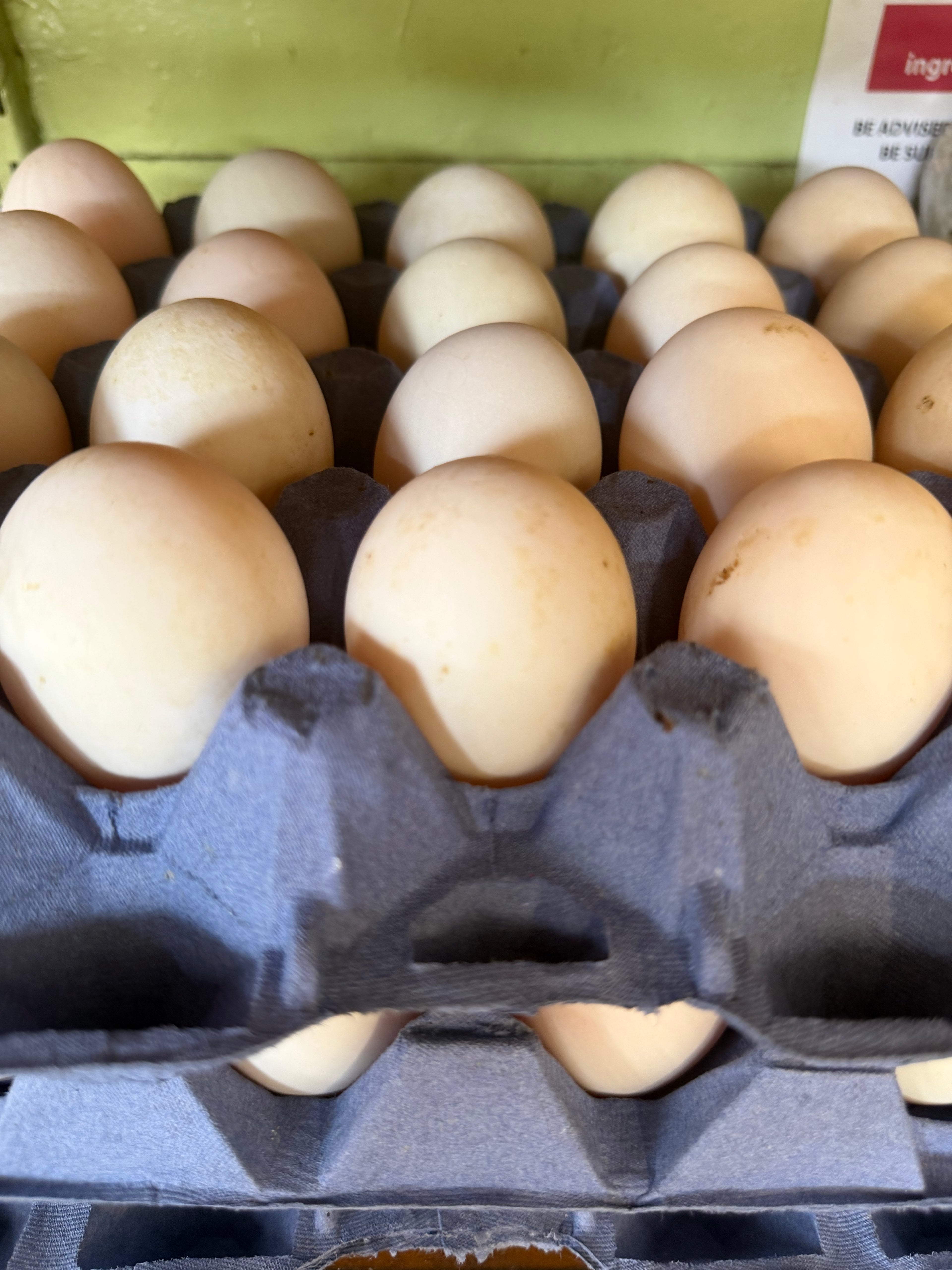 6 large free range duck eggs