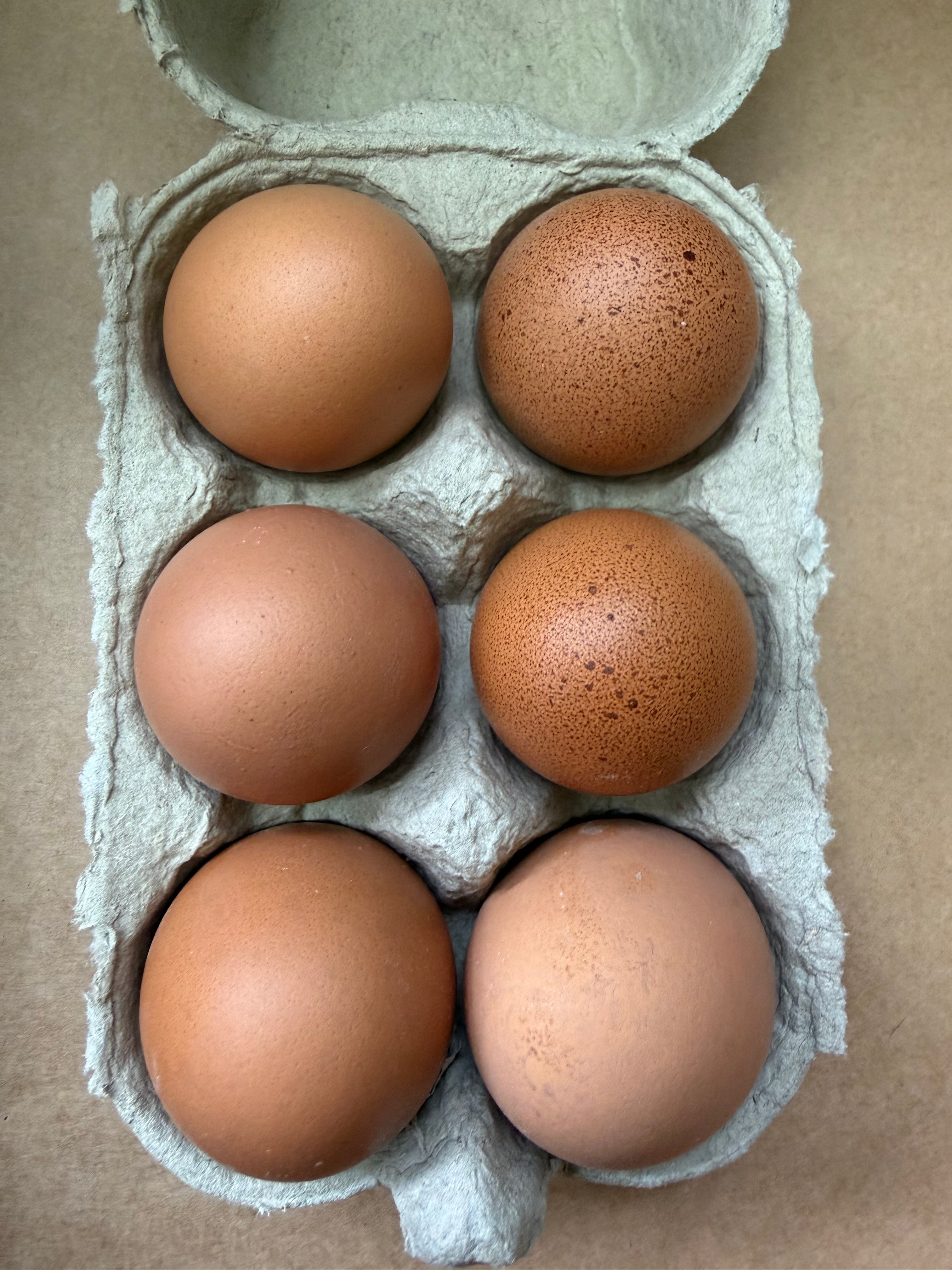 6 medium free range chicken eggs