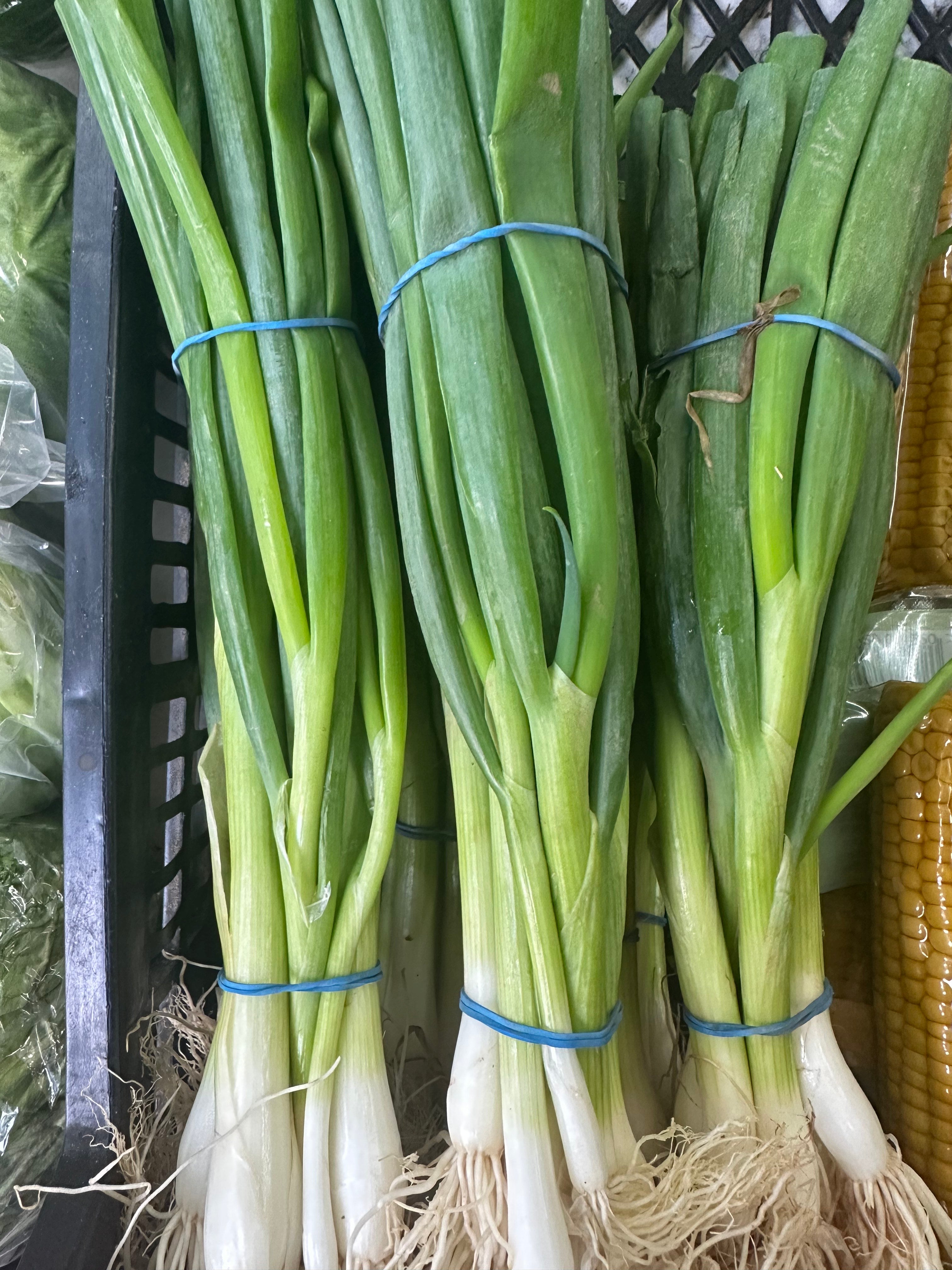 spring onions
