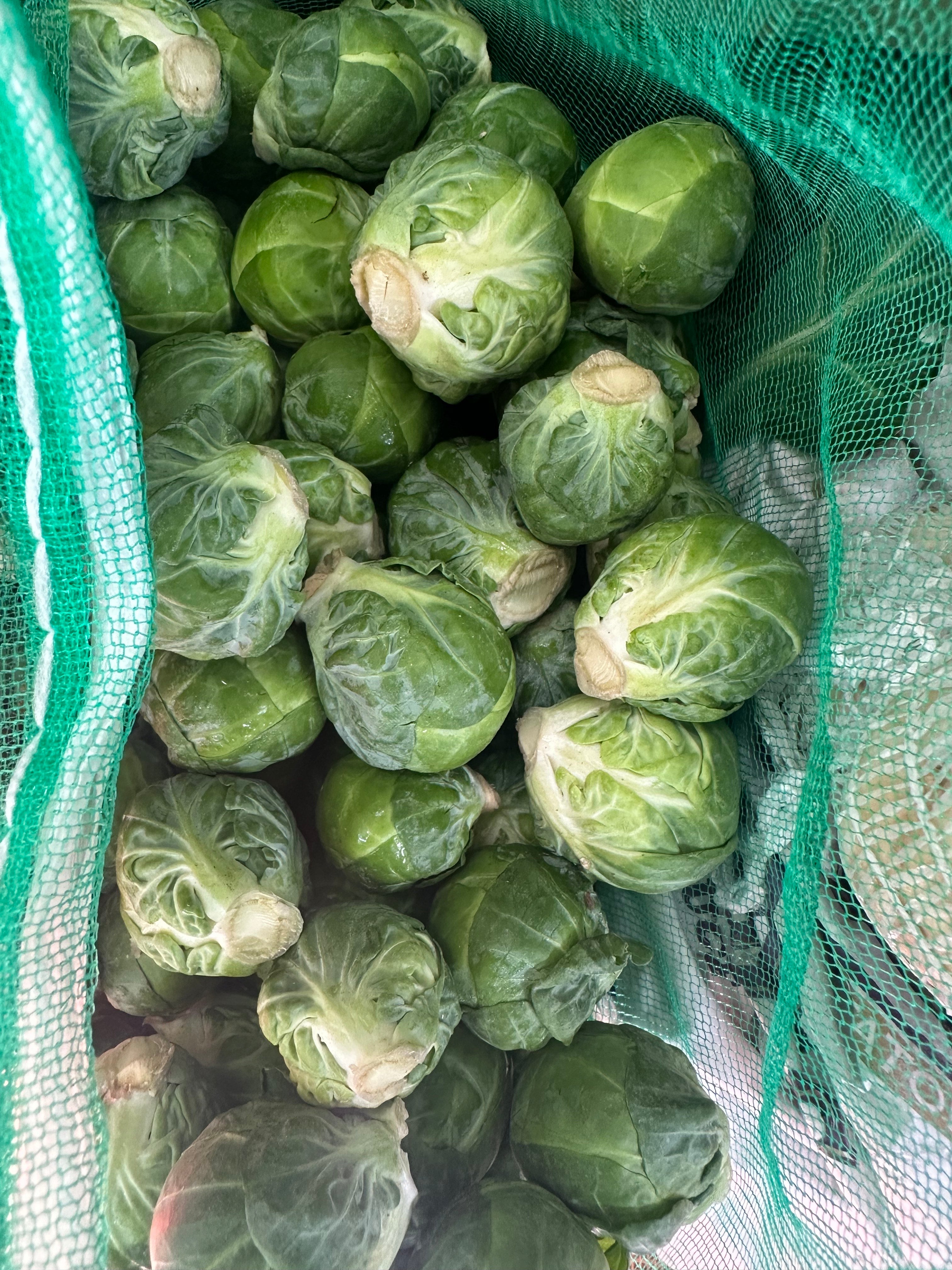 hand picked Brussel sprouts