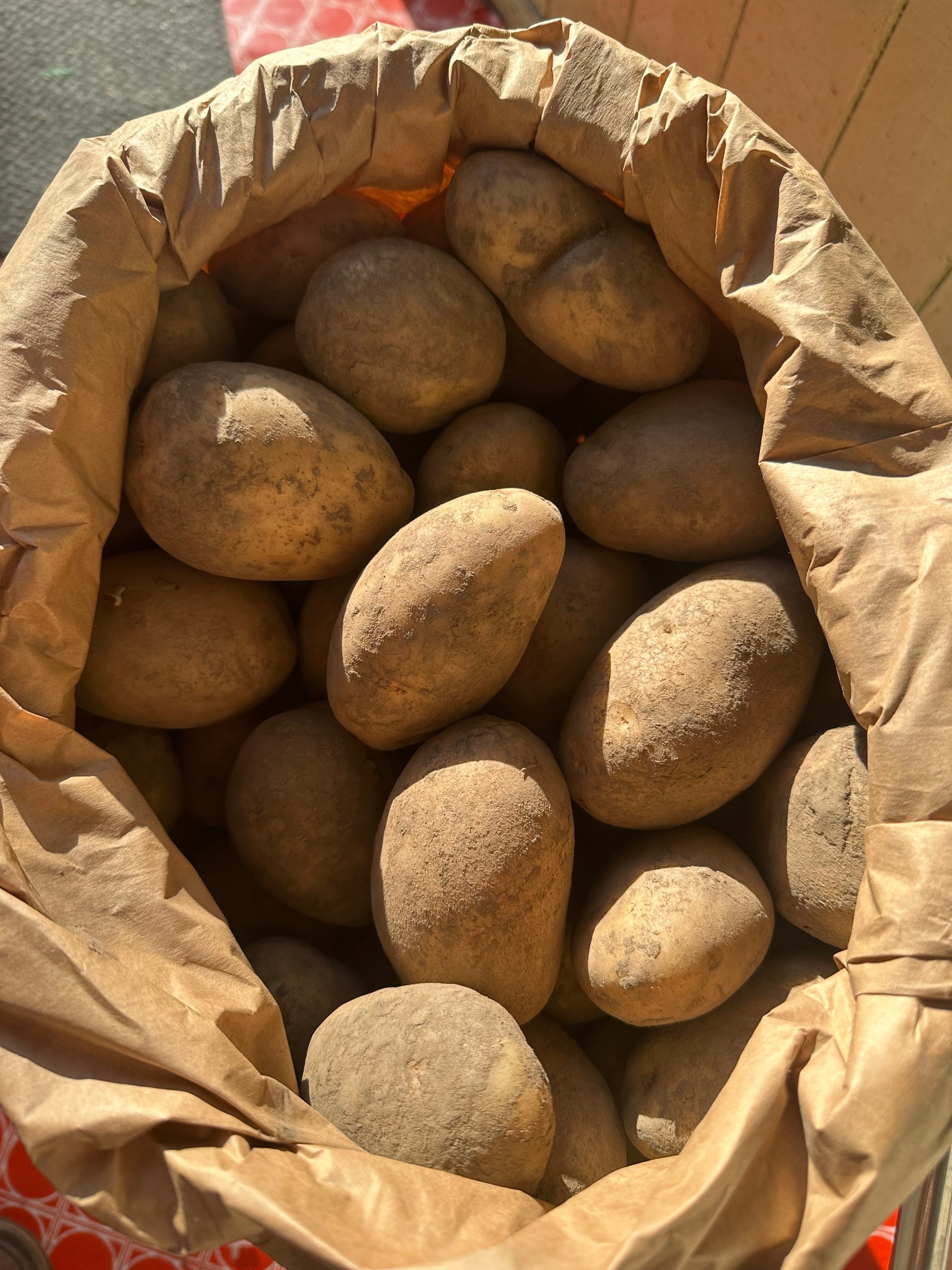 S 25kg bag of chipping potatoes