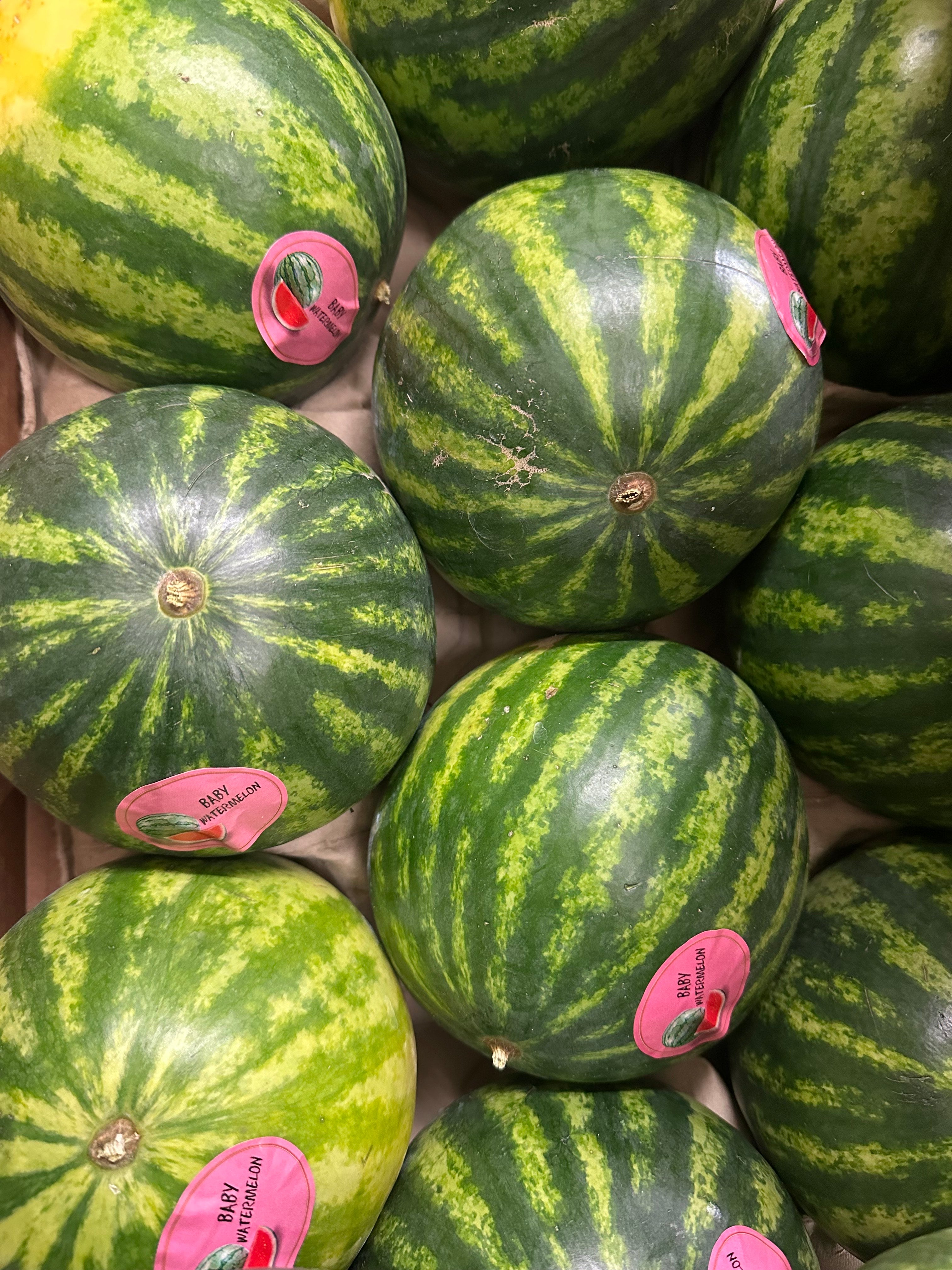 baby water melon