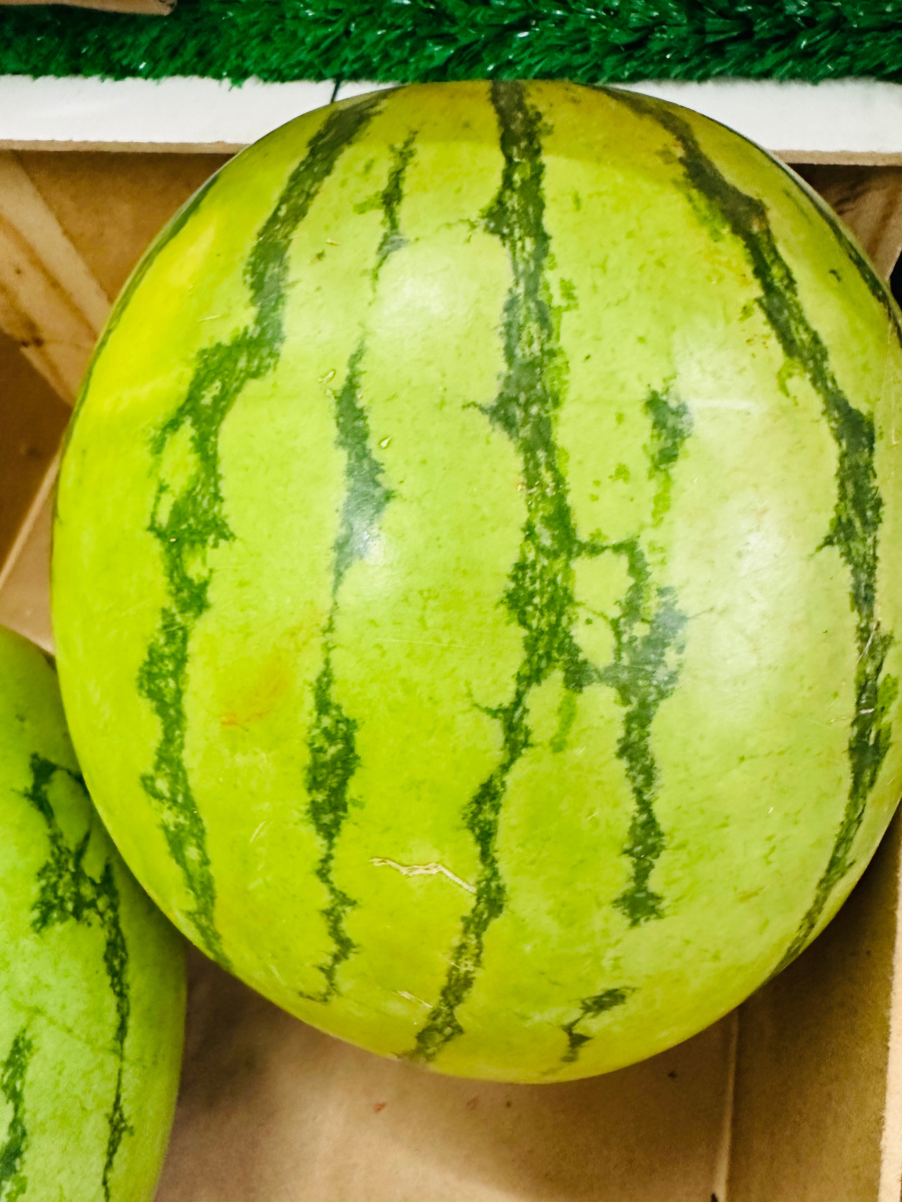 large watermelon
