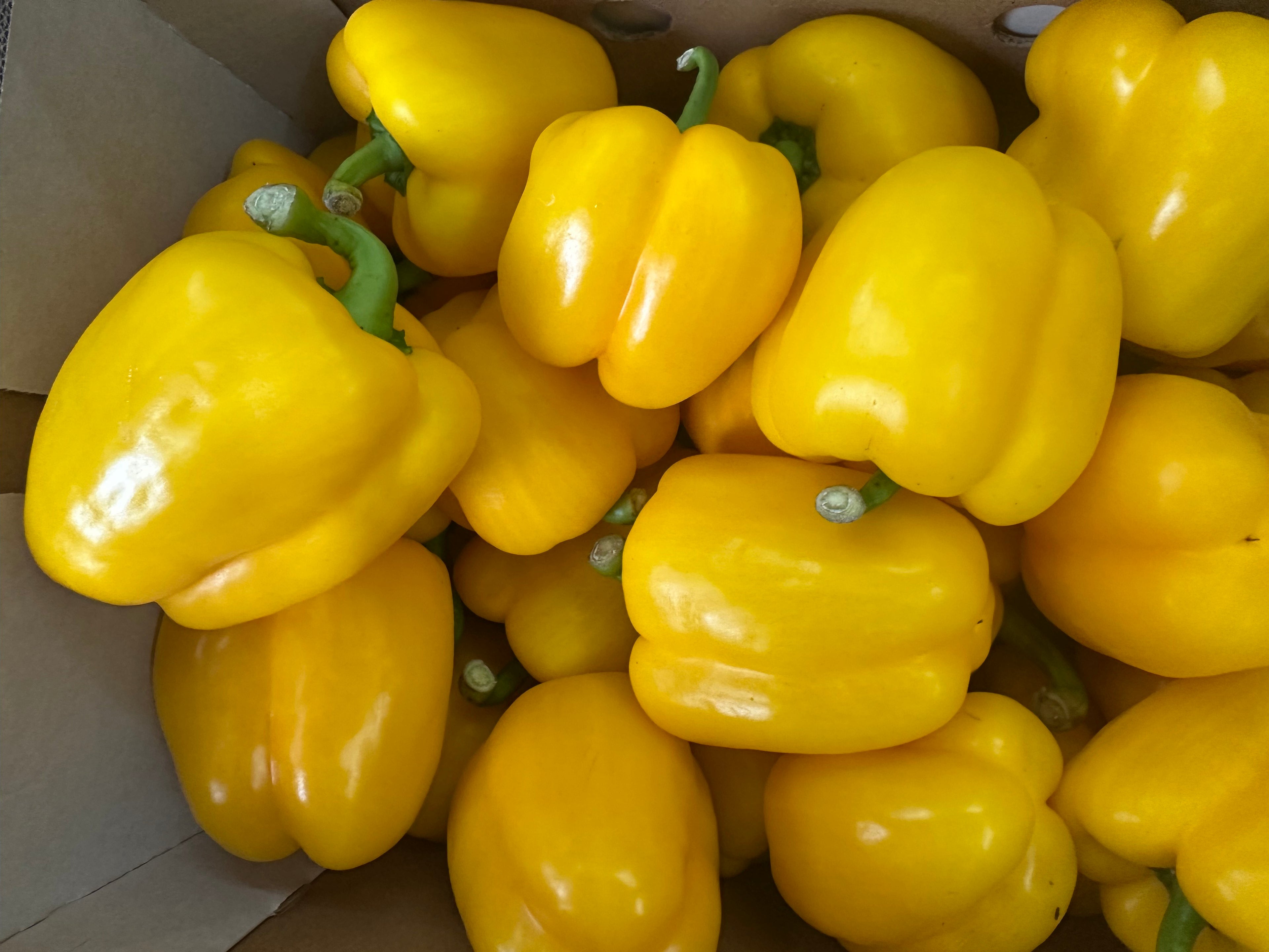 yellow pepper