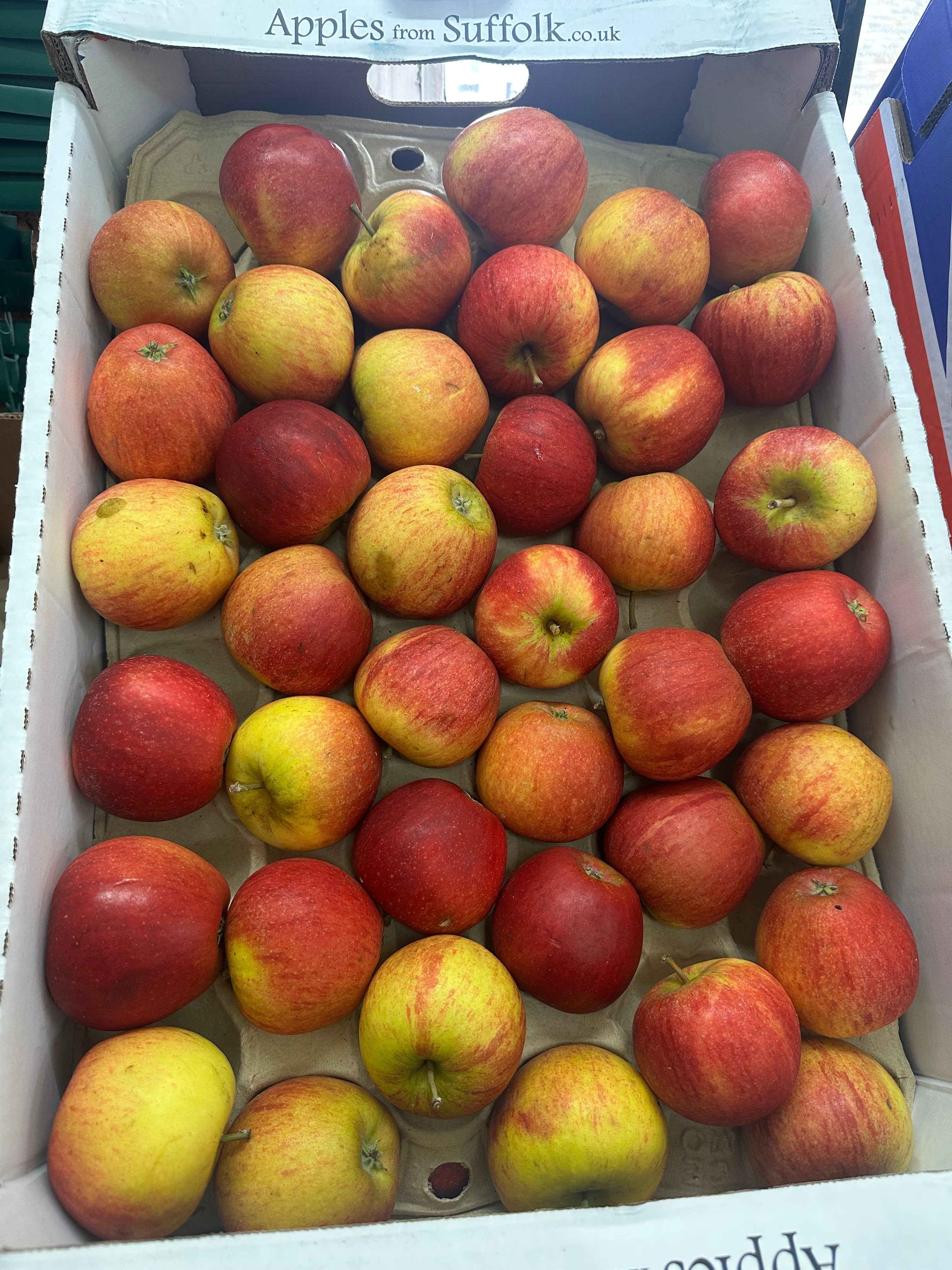 Coxs English apples