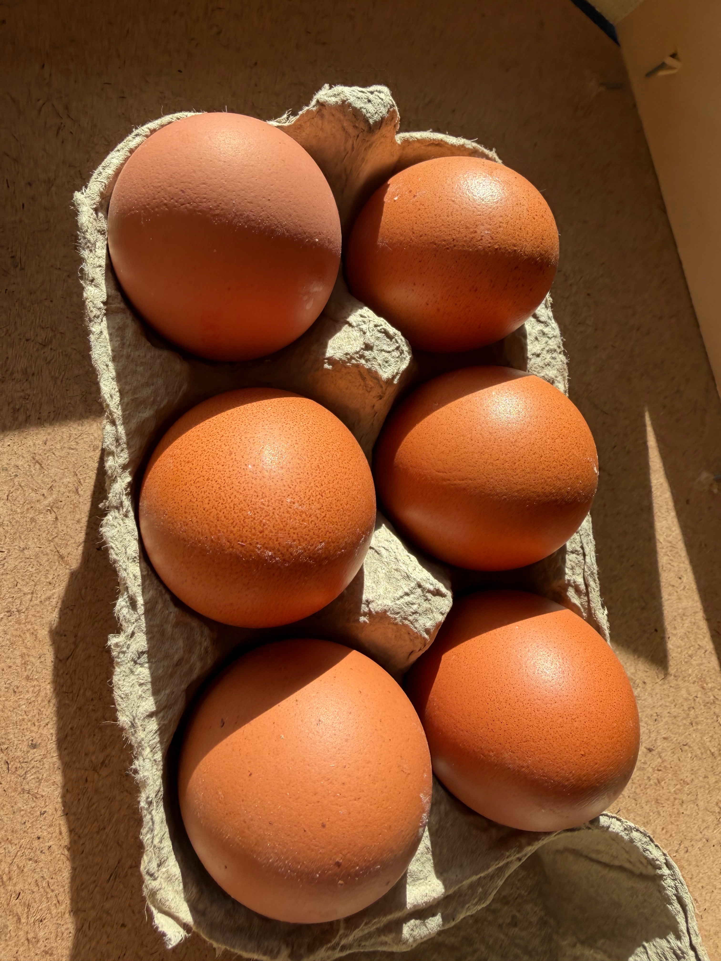 medium eggs