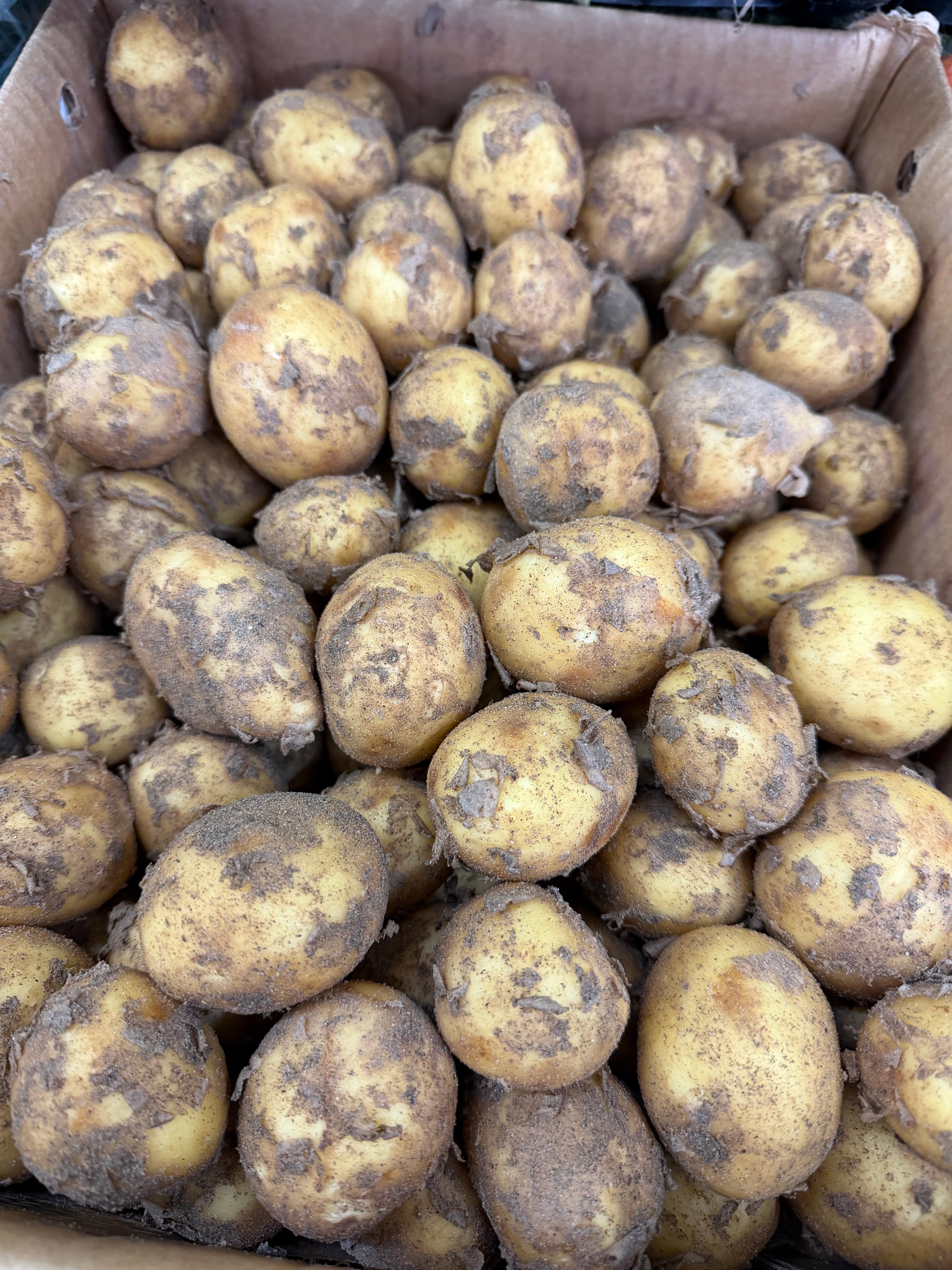 Ormskirk new potatoes