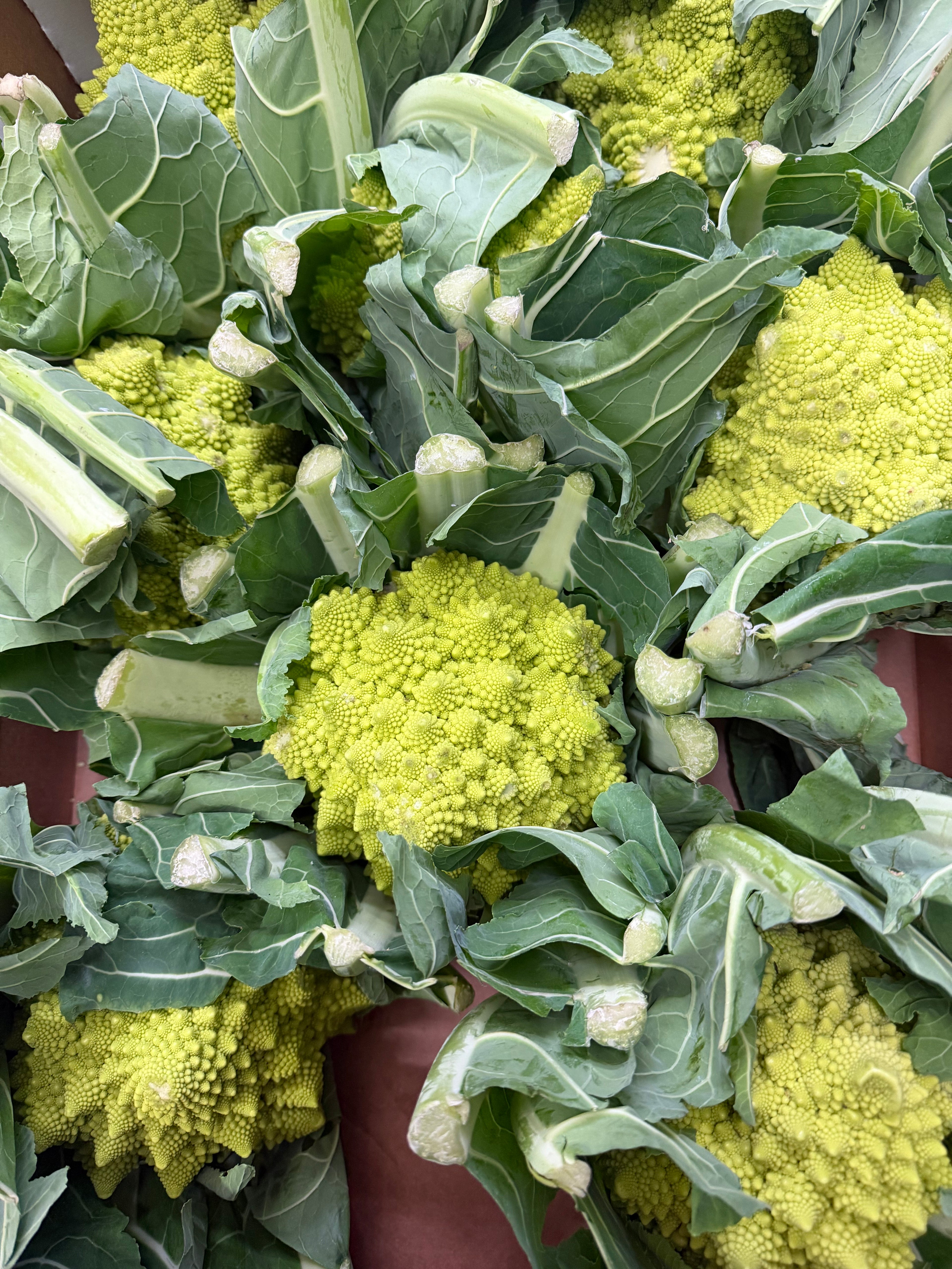 Romanesco cauliflower